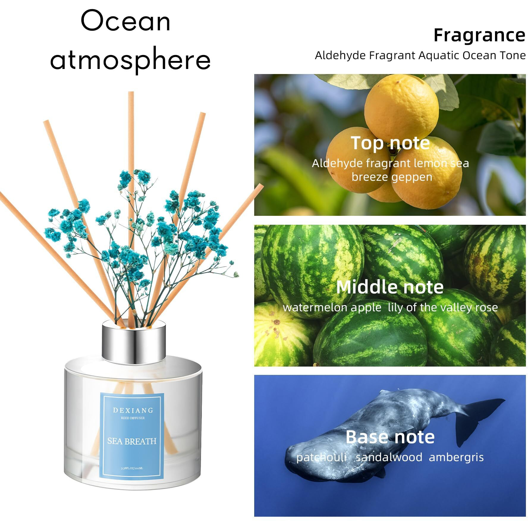 Sea Breath Reed Diffuser Set - 3.38 Fl Oz (100Ml) Essential Oil With 6 Reed Sticks | Home & Bathroom Decor