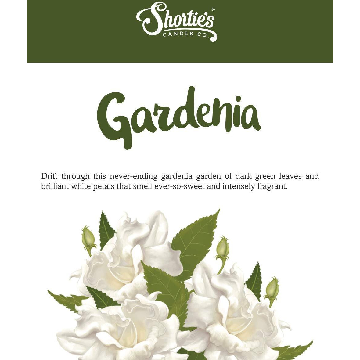 Shortie's Candle Company Pure Gardenia Wax Melts Multi Pack - Formula 117-2 Highly Scented 3 Oz. Bars - Made With Essential & Natural Oils - Flower & Floral Warmer Wax Cubes