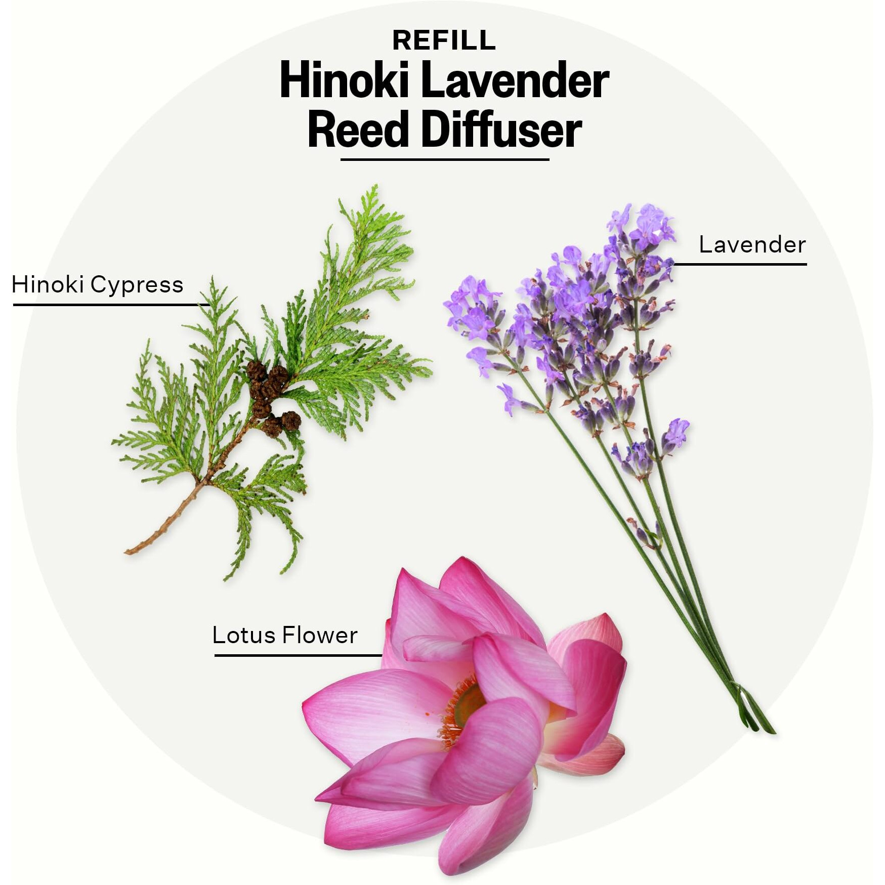 Apotheke Luxury Scented Oil Reed Diffuser Liquid Refill (Hinoki Lavender) - Premium Home Fragrance Diffuser Refill Set With Sticks