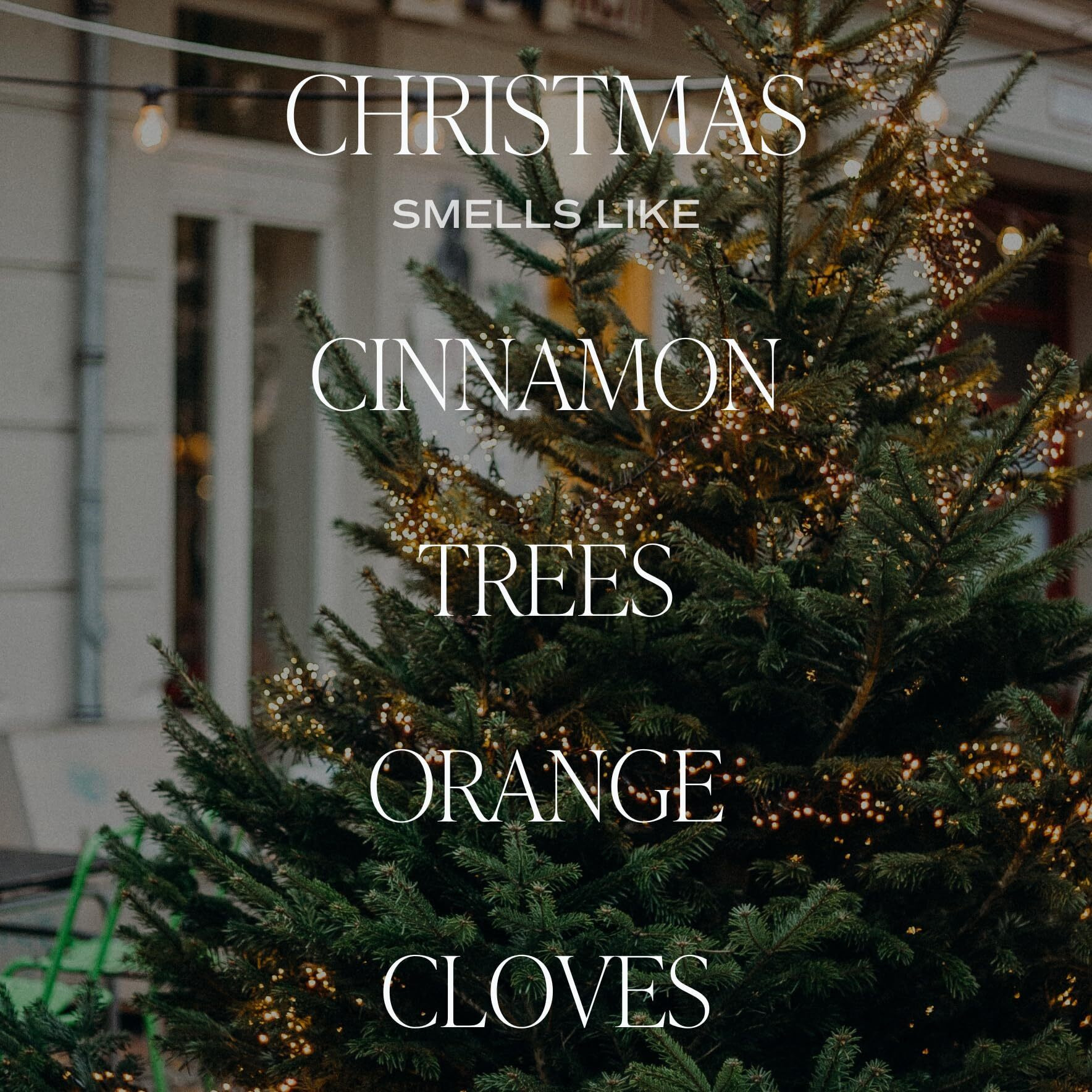 Sweet Water Decor Christmas Reed Diffuser Set - Christmas Scented Reed Diffuser W/Fresh Cut Trees And Orange Scent - Reed Diffusers For Home With Long Lasting Fragrance - Non-Toxic Oil Reed Diffuser