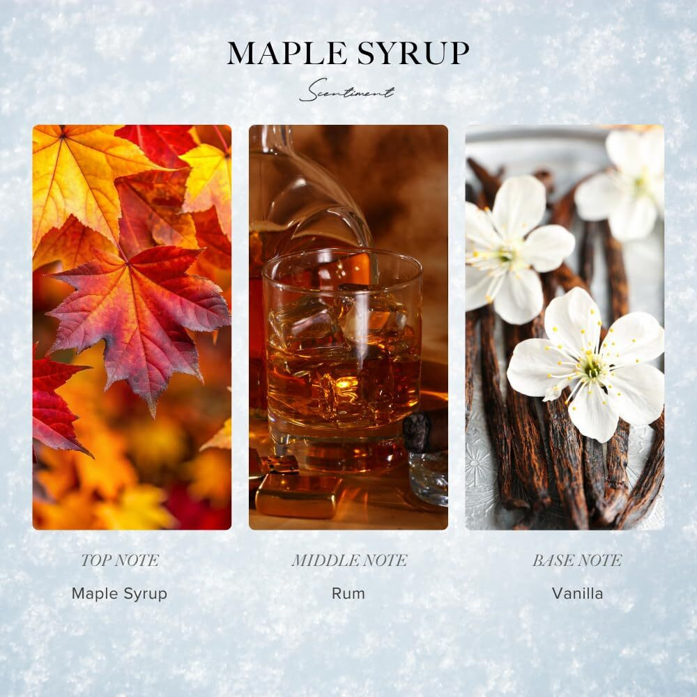 Scentiment Diffuser Oil - Maple Syrup Winter Collection | Aromatherapy Home Fragrance | Luxurious Scent With Notes Of Maple Syrup, Rum, Vanilla (50Ml)