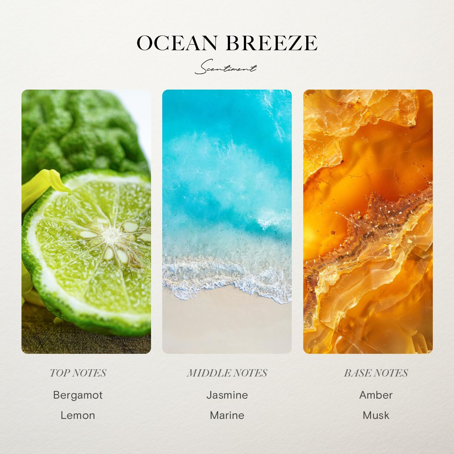 Scentiment Diffuser Oil - Ocean Breeze | Inspired By Ritz-Carlton Hotels' Lobby Scent | Luxurious Scent With Notes Of Bergamot, Lemon, Jasmine With Marine & Amber (500Ml)