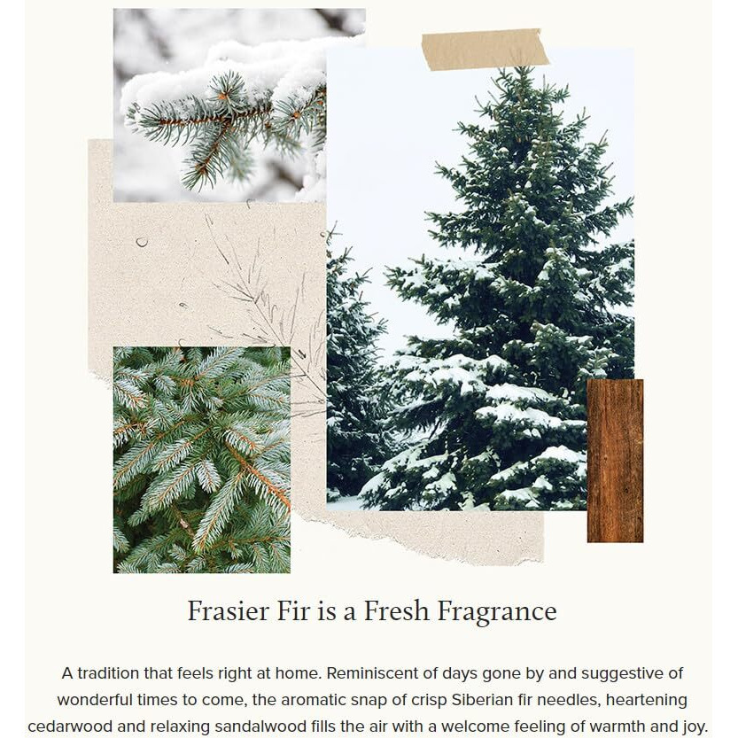 Thymes Frasier Fir Reed Diffuser Set - Includes Reeds, Fragrance Oil, And Frosted Glass Bottle - Fragrance Oil Diffuser - Room Fresheners - Luxury Home Decor - White (Flocked, 4 Fl Oz)