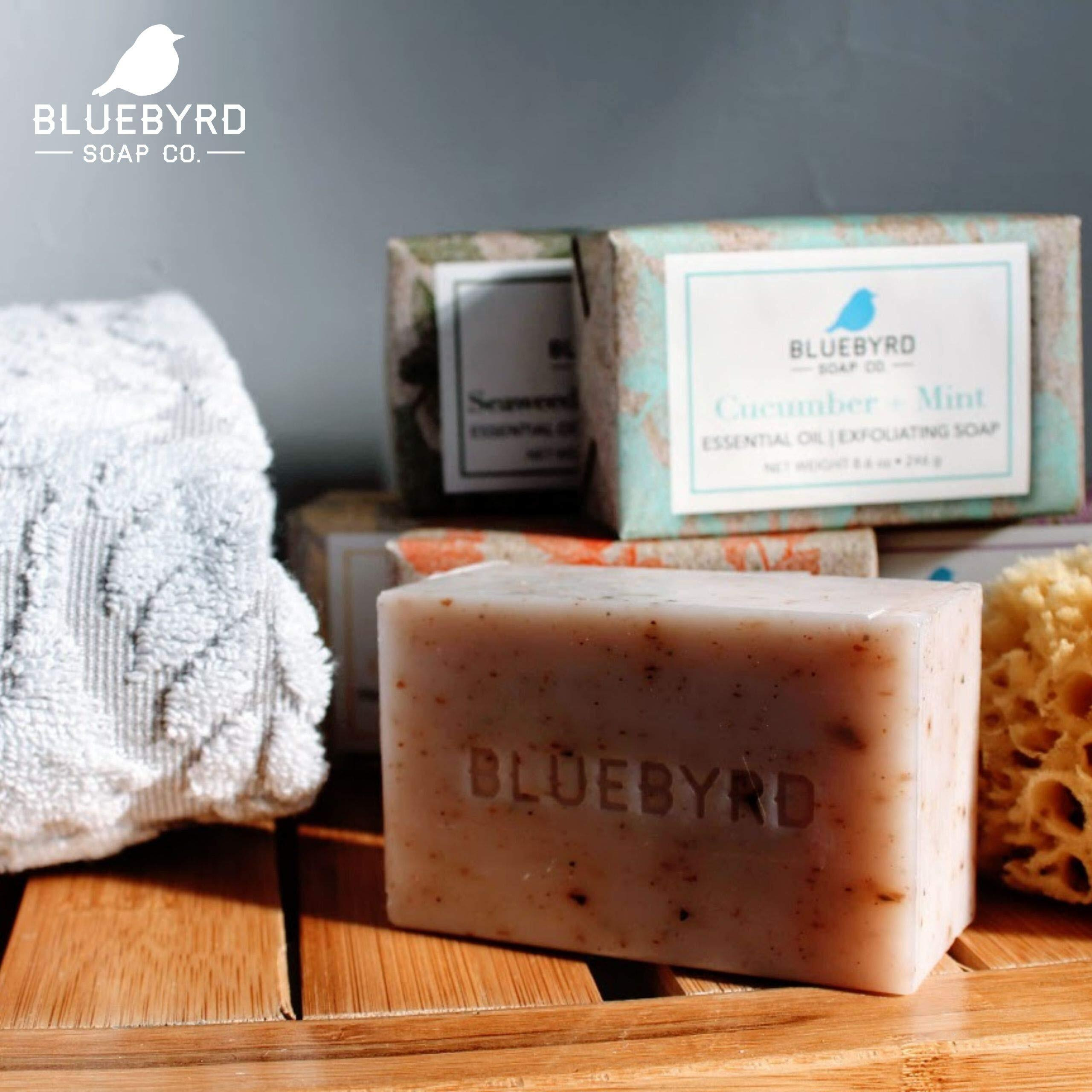 Bluebyrd Soap Co. 5-Pack Variety Set Exfoliating Essential Oil Soap Bars | 100% Vegan Natural Bar Soap Gift | Cucumber Mint, Goat Milk Jojoba Oil, Lavender Thyme, Orange Clove, Seaweed Eucalyptus(Set)