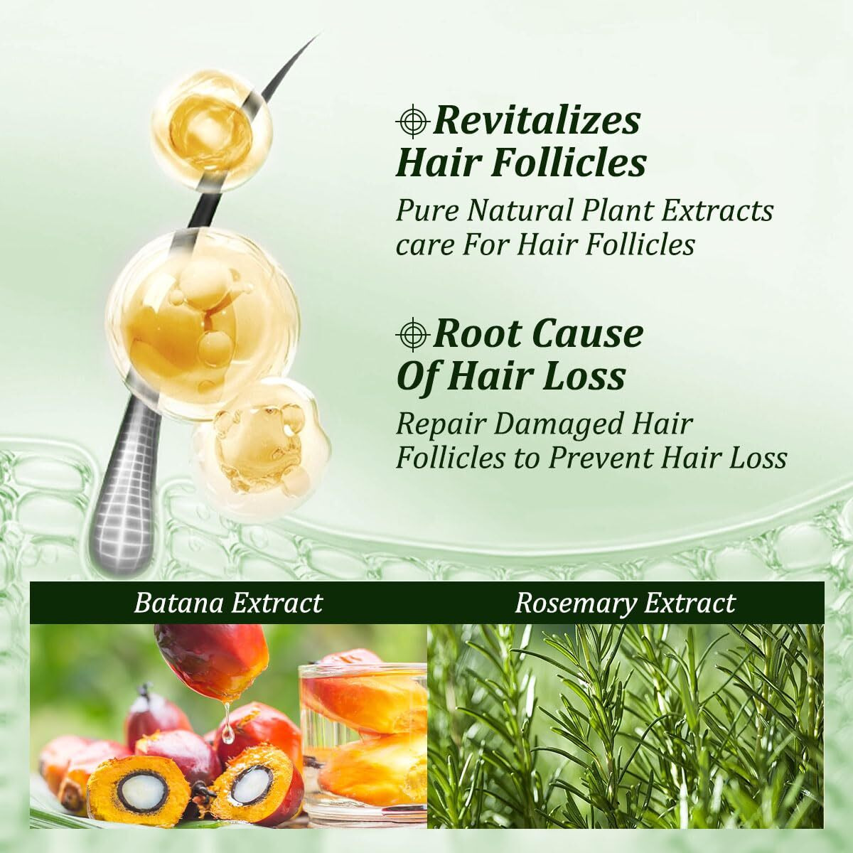 Gypsophila 2 Pack Batana Oil Shampoo For Hair Growth, Rosemary Shampoo - Nourishing & Rejuvenating For Softness & Volume, Suitable For Men & Women, Reduces Hair Loss