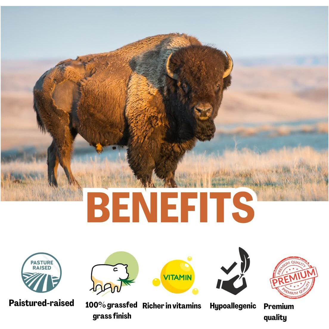 Bison | Emu | Honey Balm - Made With Pasture Raised Bison Tallow And Antioxidant Astaxanthin | Tallow Balm | With Honey And Emu Oil | All Natural | Suitable For Sensitive Skin - 2 Fl Oz