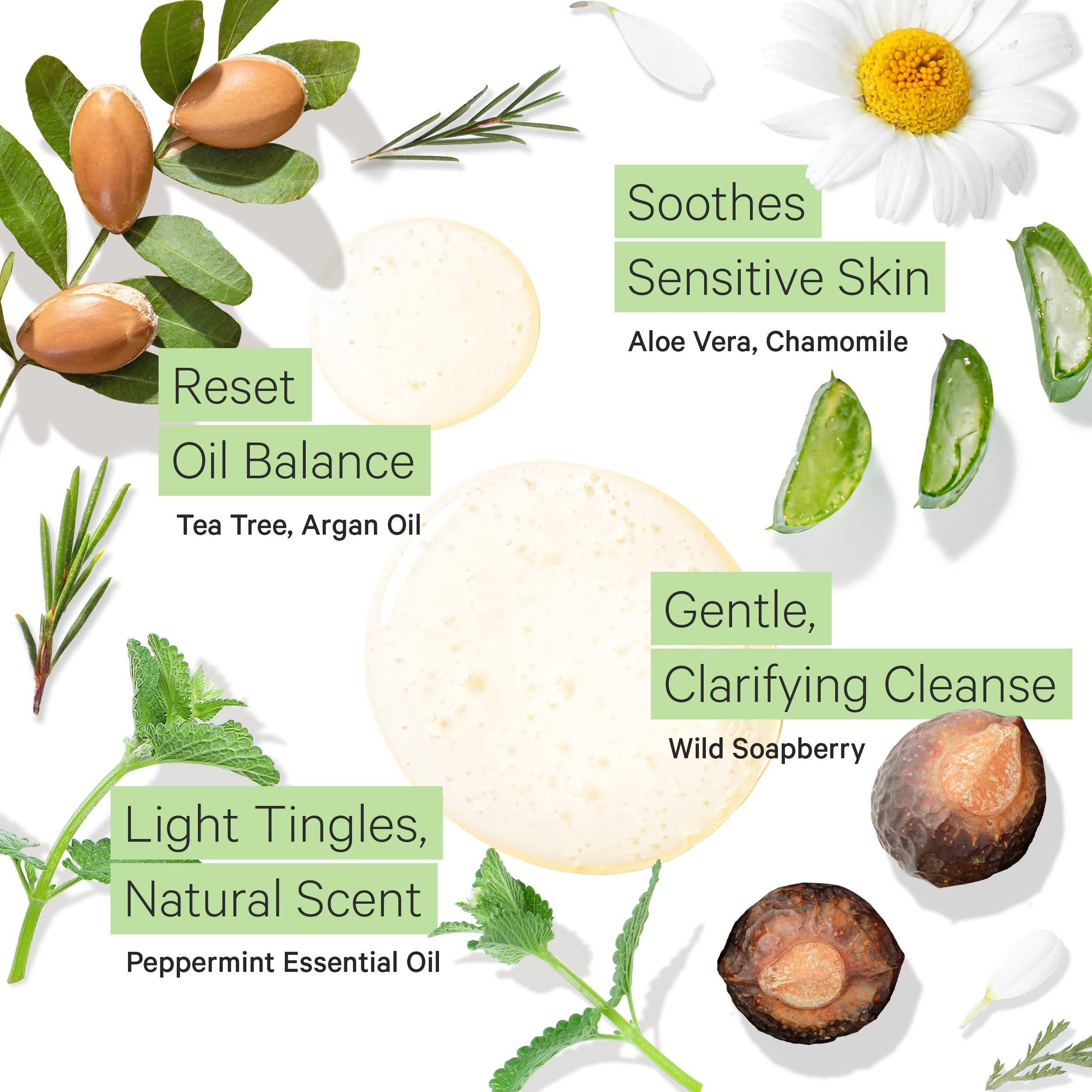 Tree To Tub Peppermint Shampoo For Oily Hair & Sensitive Scalp - Gentle Clarifying Shampoo For Build Up, Sulfate Free Anti Residue Hair Shampoo For Women & Men W/Organic Argan Oil, Natural Aloe Vera