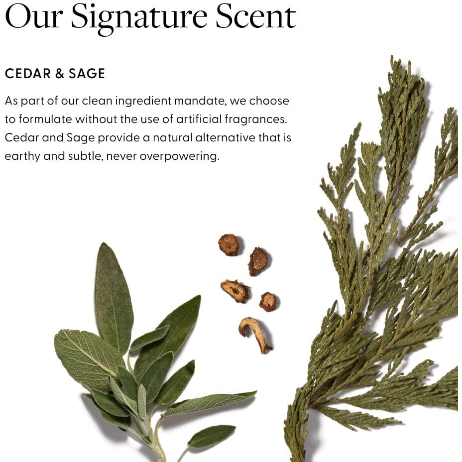 Live In Mist Leave-In Conditioner | The Sunscreen Of Haircare | Hydrate, Detangle & Protect | Raspberry Seed Oil For Uv Protection | Black Spruce Extract For Color Preservation | Sulfate-Free (4 Oz)