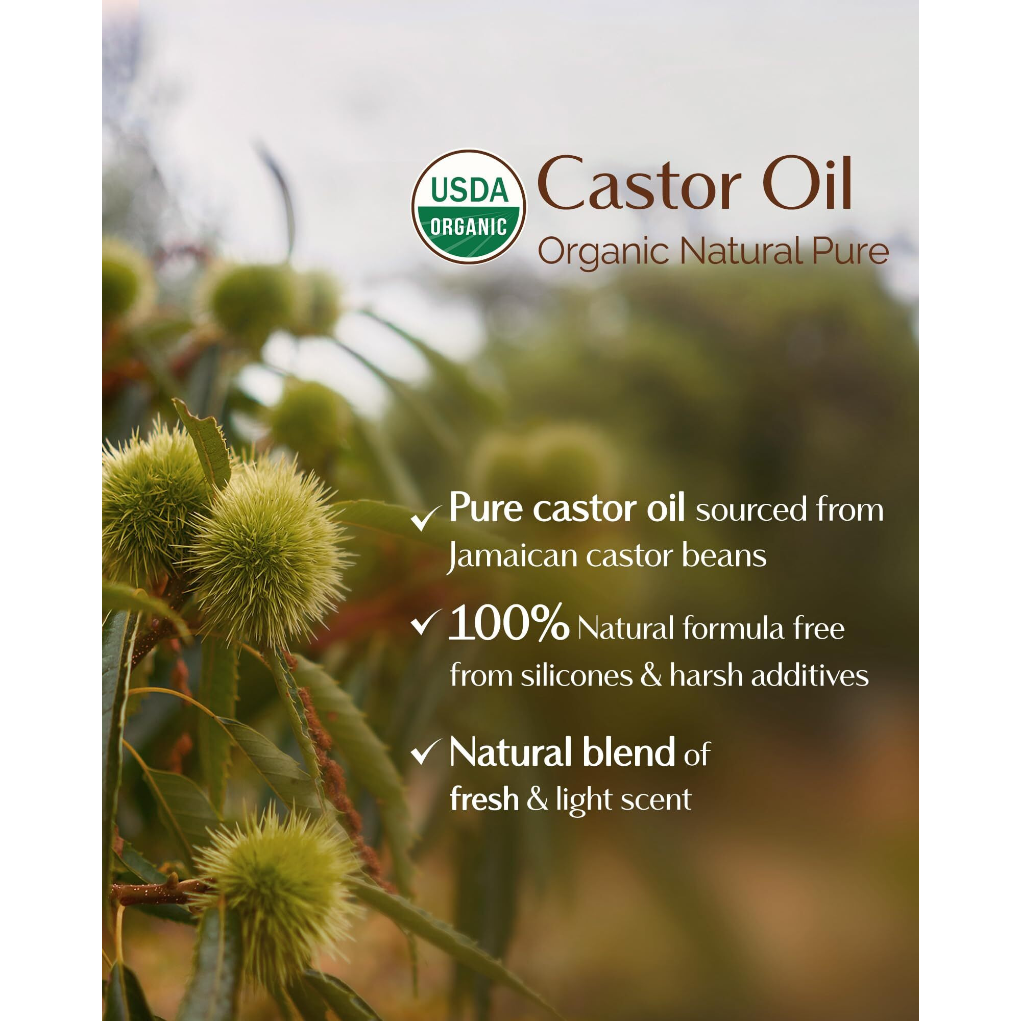 Yanibest Organic Castor Oil, Cold Pressed Unrefined Glass Bottle, 100% Natural Usda Certified Castor Oil For Hair, Eyelashes, Face, Eyebrows, Scalp & Hair Strengthening Oil For All Hair Types