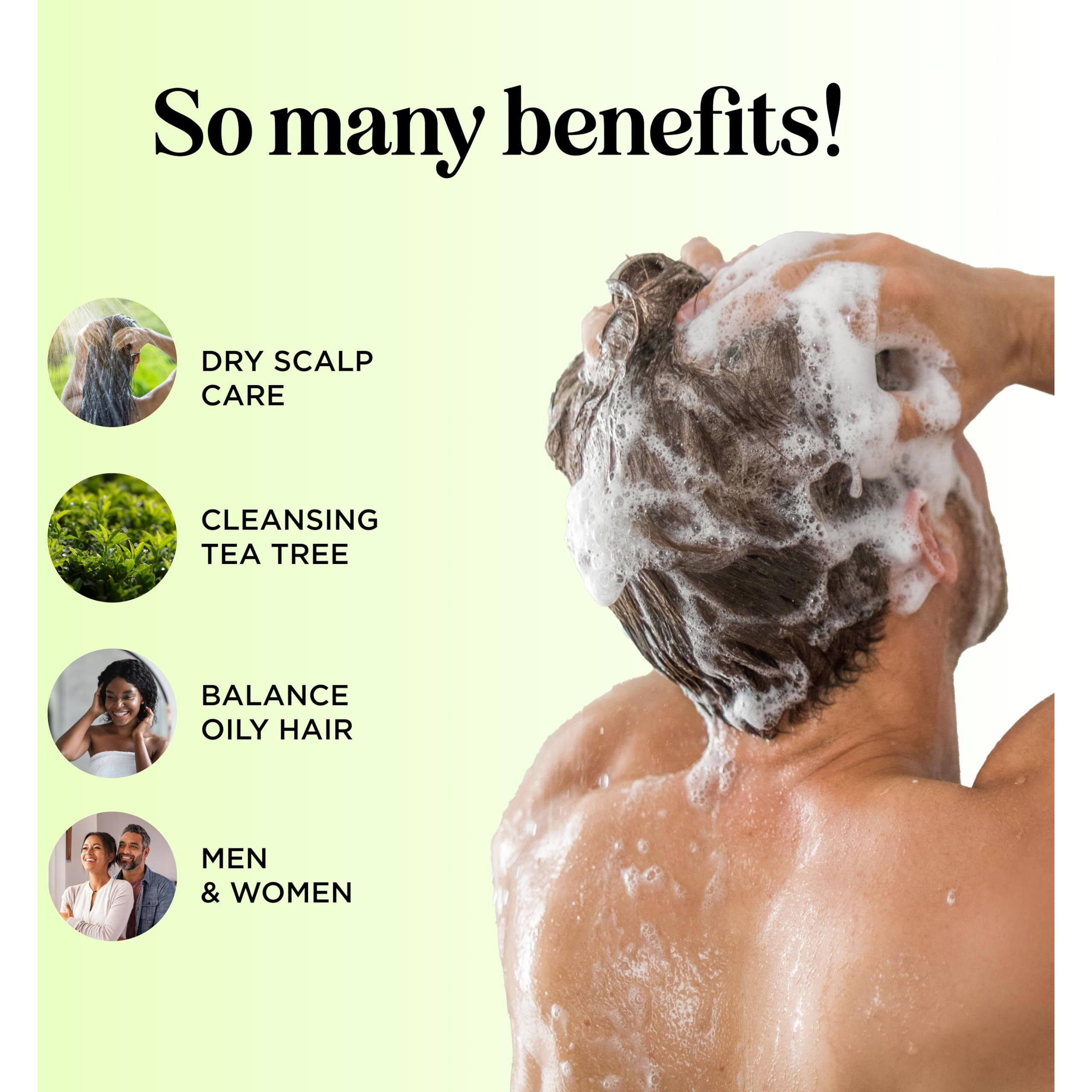 Clarifying Shampoo For Build Up & Oily Hair - Tea Tree Shampoo For Men And Women With Rosemary Essential Oil For Oily Hair And Scalp - Color Safe Vegan Sulfate Silicone & Paraben Free (10 Fl Oz)