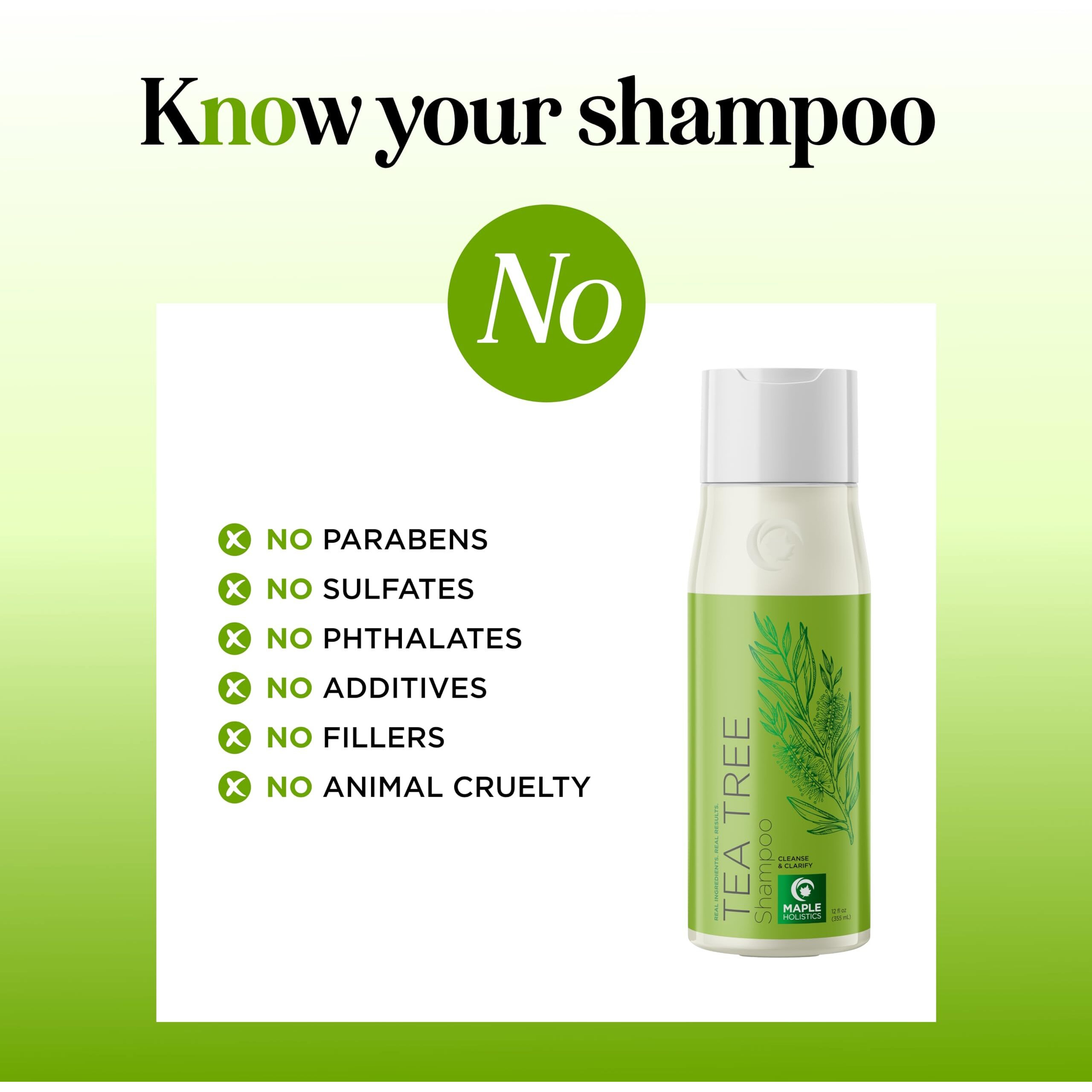Clarifying Shampoo For Build Up & Oily Hair - Tea Tree Shampoo For Men And Women With Rosemary Essential Oil For Oily Hair And Scalp - Color Safe Vegan Sulfate Silicone & Paraben Free (10 Fl Oz)