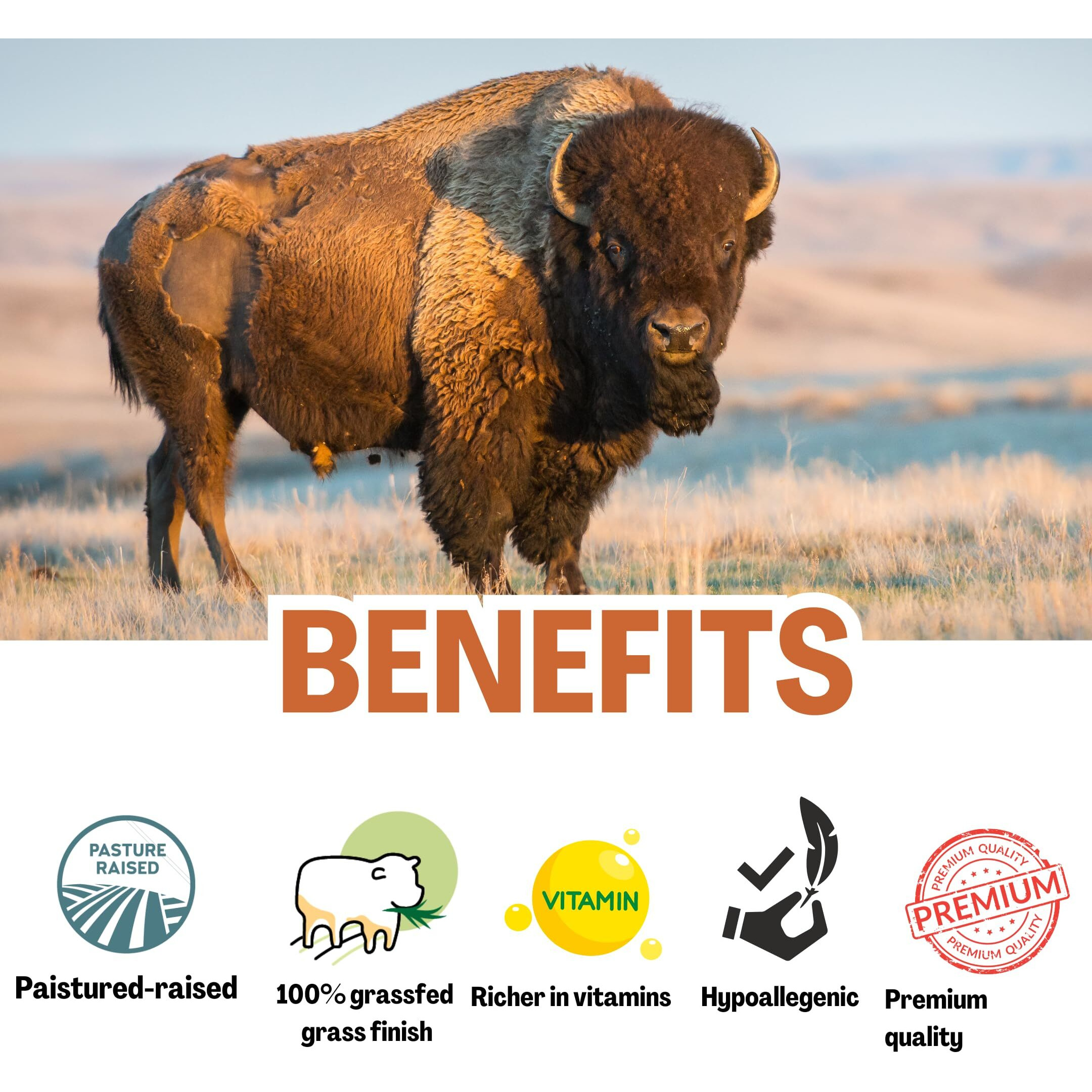 Bison | Emu | Honey Balm - With Pasture Raised Bison Tallow - Astaxanthin, Bakuchiol, Royal Jelly | Whipped Tallow Balm | With Honey And Emu Oil | All Natural - 2 Fl Oz (2 Oz, Queen Bee)