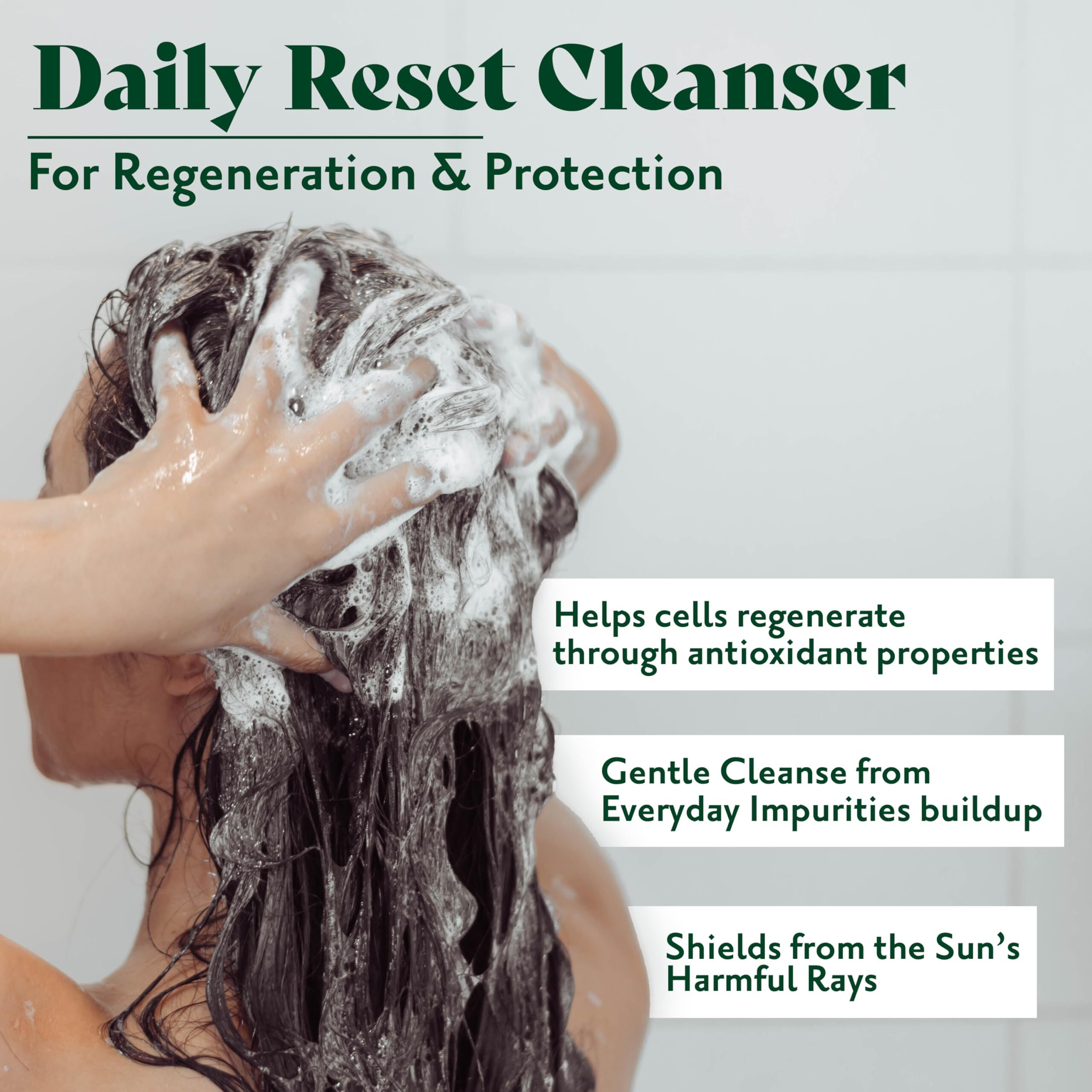 Herbatint Detox Shampoo - Revives & Purifies Scalp & Hair - Removes Buildup, Oils & Hard Water Residue - Free Of Sulfates & Parabens - Infused With Zeolite - 8.8 Fl Oz