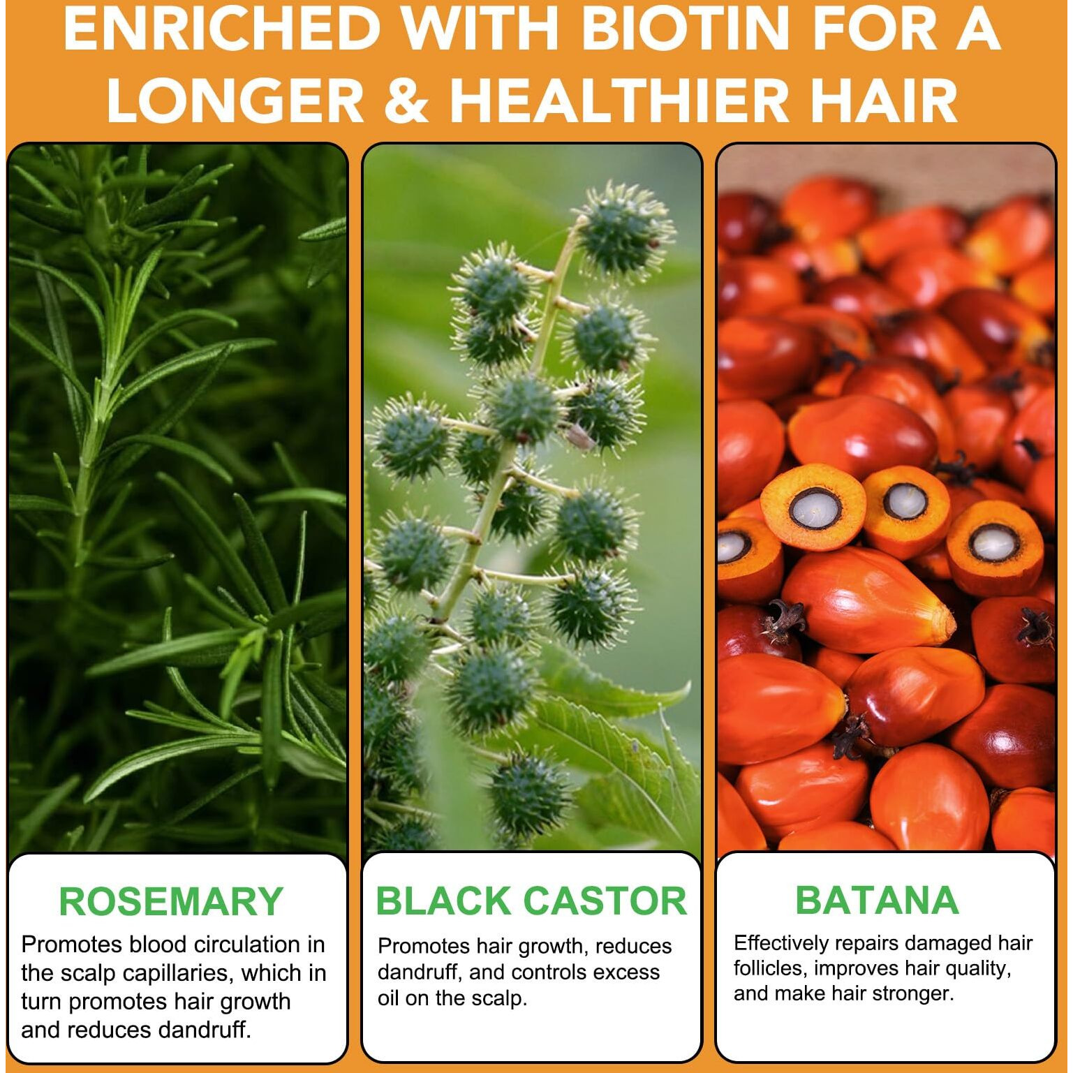 Biotin Shampoo And Conditioner For Hair Loss| Thickening Hair Products With Rosemary, Black Castor & Batana Oil - Strengthens, Repair, Add Shine For Women Curly, Straight, Dry And Damaged Hair