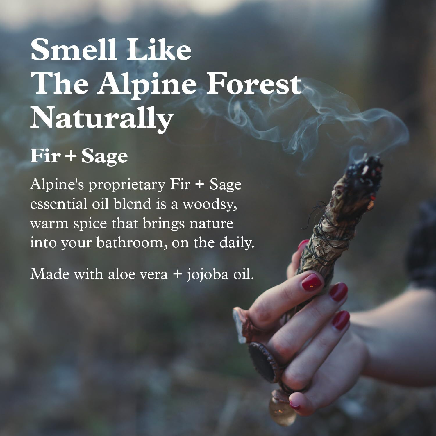Alpine Provisions Fir & Sage Conditioner - Naturally Moisturize, Repair, & Strengthen With Essential Oils, Sunflower Oil & Aloe Vera, Vegan, Sulfate - Nourishing Plant-Based Hair Care - 16.9 Fl Oz