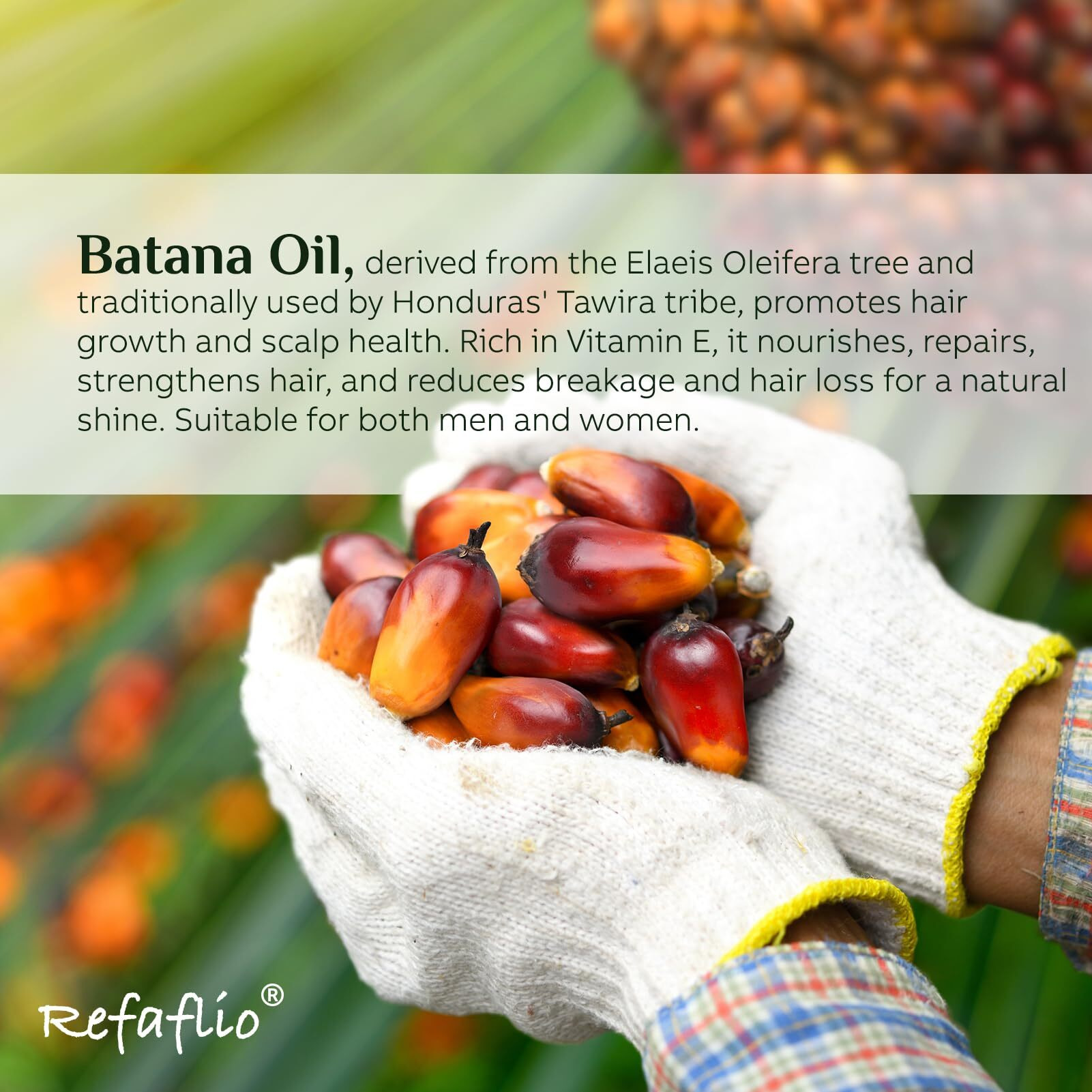 Batana Oil For Hair Growth, Dr Sebi Organic Raw Batana Oil, Enhances Hair Thickness, Prevents Hair Loss For Men And Women 120Ml.
