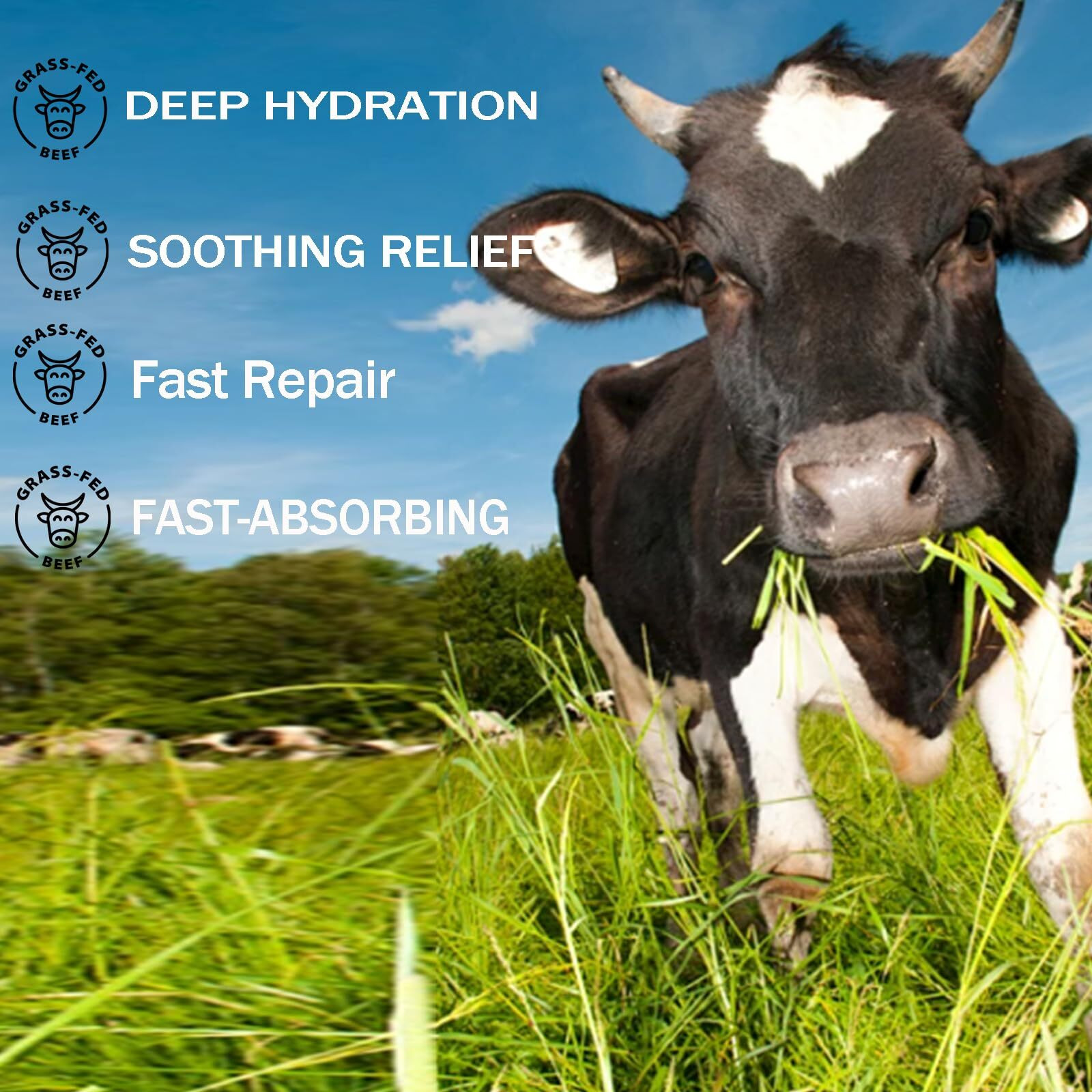Grass Fed Beef Tallow With Frankincense Oil And Castor Oil, Whipped Beef Tallow Frankincense Oil Castor Oil, Organic Beef Tallow Moisturizer For Skin (1)