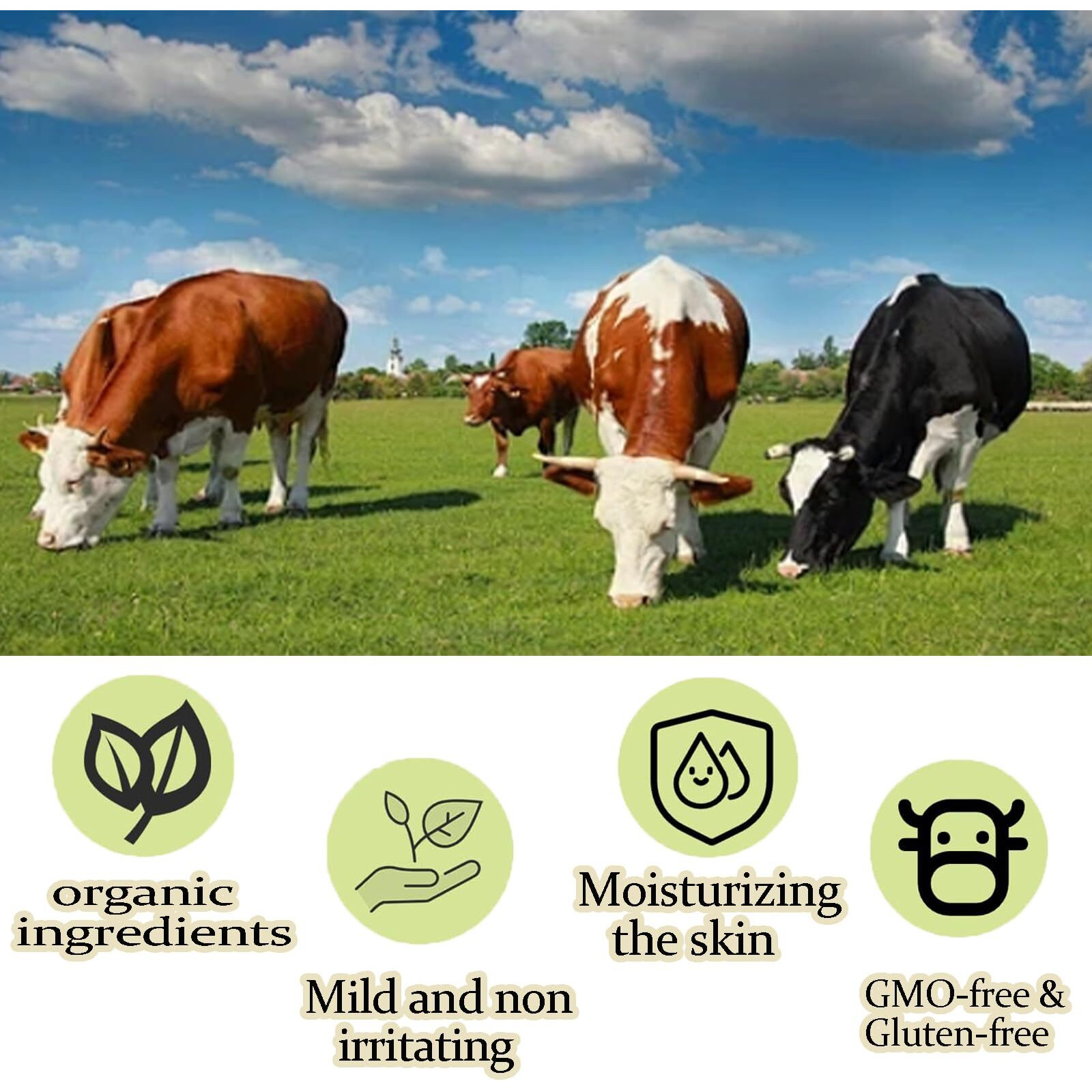 Grass Fed Beef Tallow With Frankincense Oil And Castor Oil, Whipped Beef Tallow Frankincense Oil Castor Oil, Organic Beef Tallow Moisturizer For Skin (1)