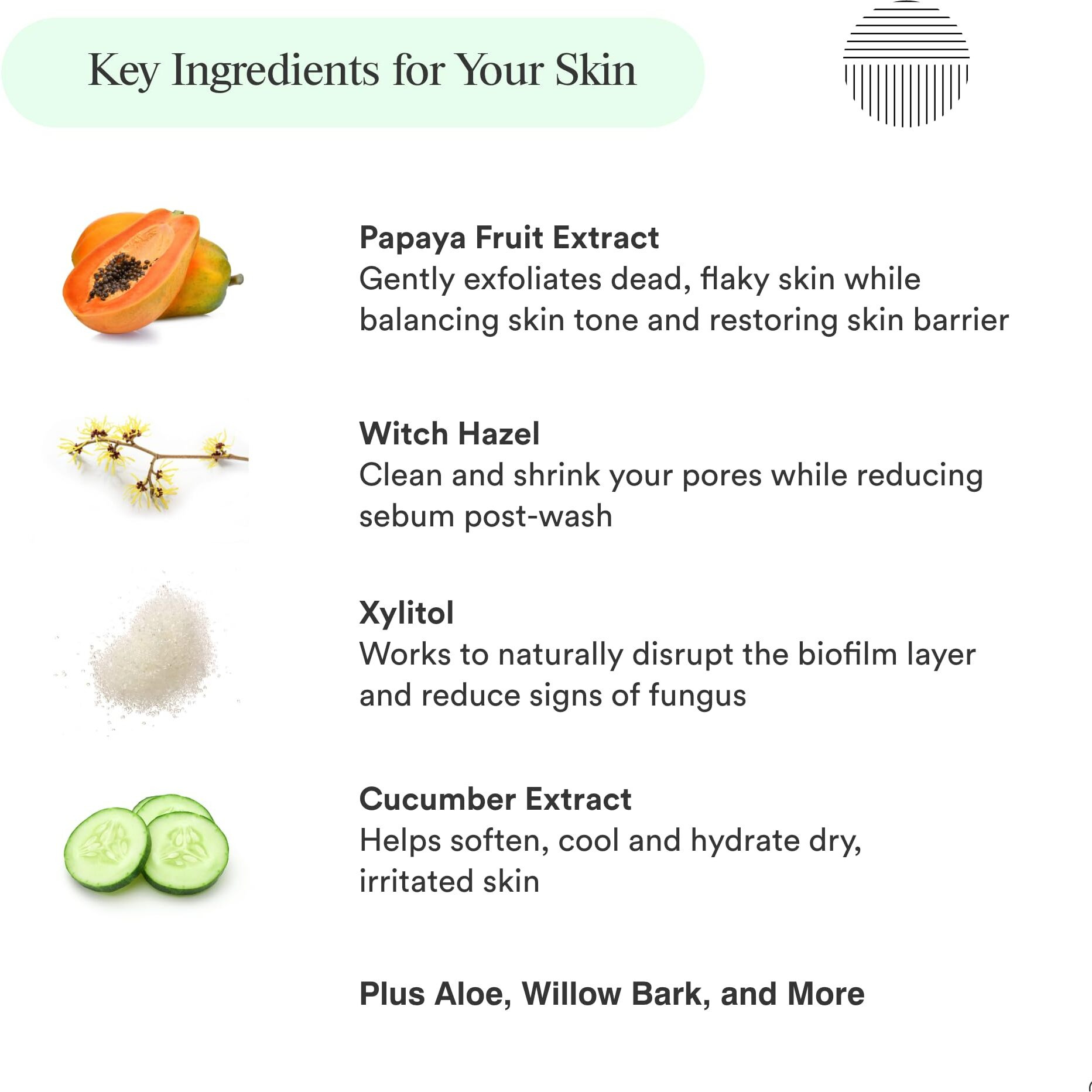 Dermazen Natural Mineral & Enzyme Body Wash For Men & Women | Malassezia Safe | Gentle, Hydrating & Nourishing Cleanser W/Papaya & Cucumber For Soft, Radiant Skin - Sulfate & Paraben Free, 8 Fl Oz