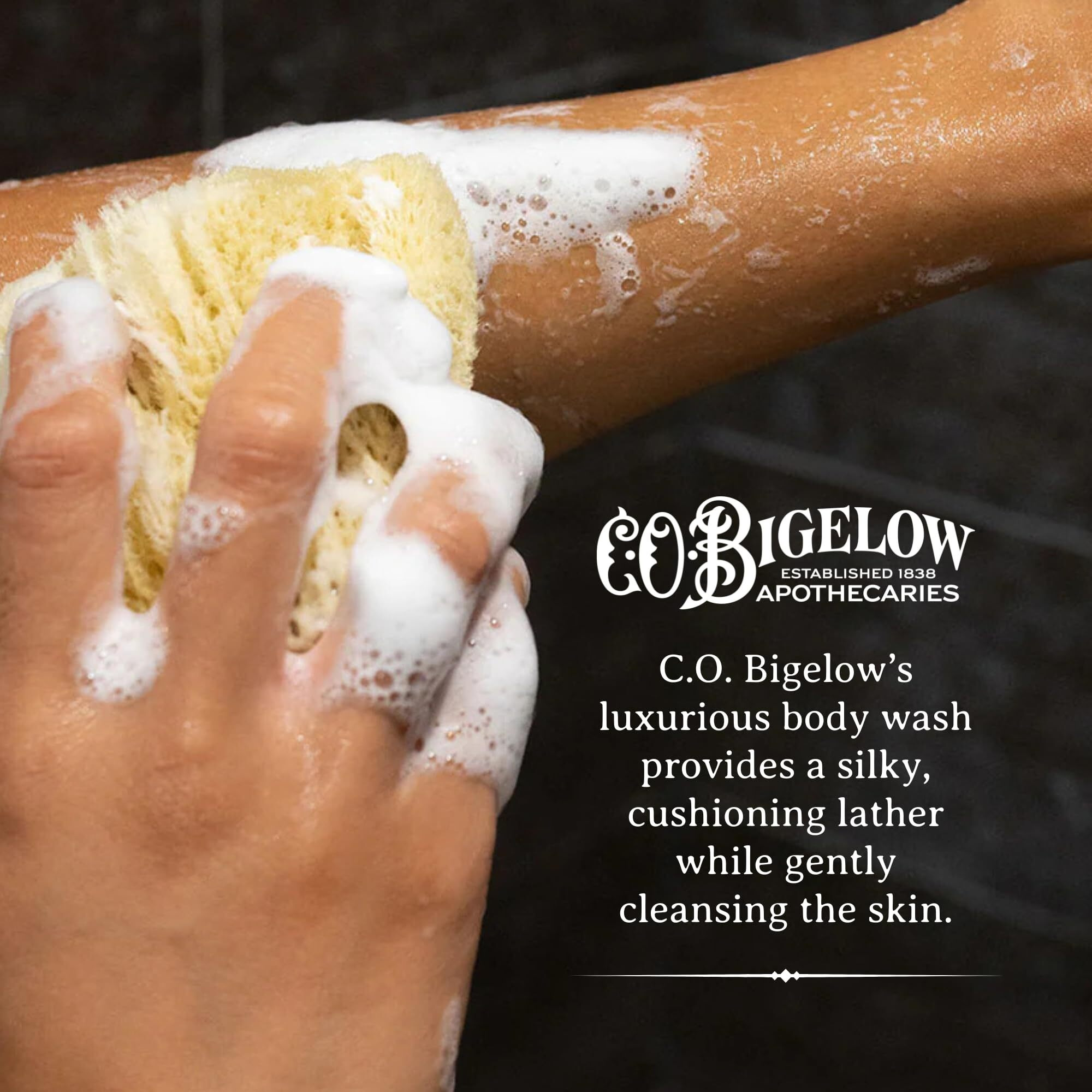 C.O. Bigelow Iconic Collection Amber Body Wash, Scented Shower Gel With Coconut Oil And Aloe Vera, 10.5 Fl Oz
