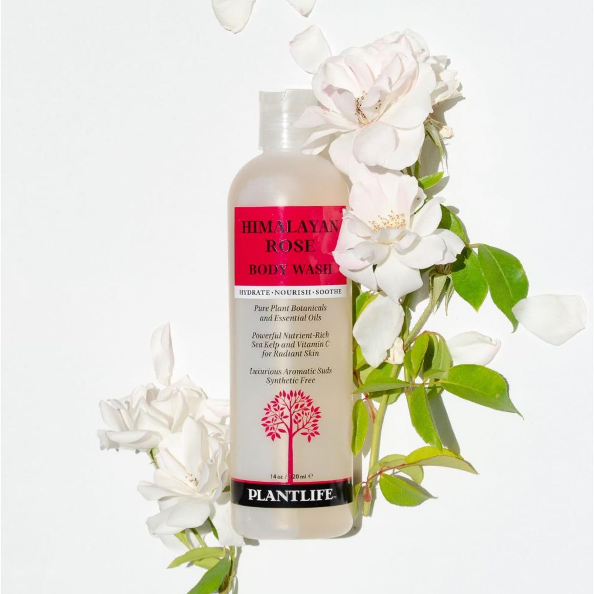 Plantlife Himalayan Rose Body Wash - Gmo And Gluten Free Gentle And Moisturizing Body Wash That Contains Only Ingredients Straight From Nature - Manufactured In The Usa 14 Oz