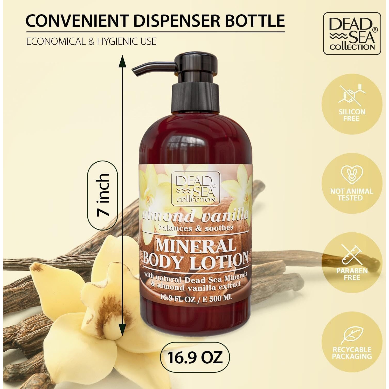Dead Sea Collection Top 10 Men's Body Lotion - Sandalwood Oil And Dead Sea Minerals - Maximum Hydration Nourishing Moisturizing Lotion For Men - 16.9 Fl Oz Bottle