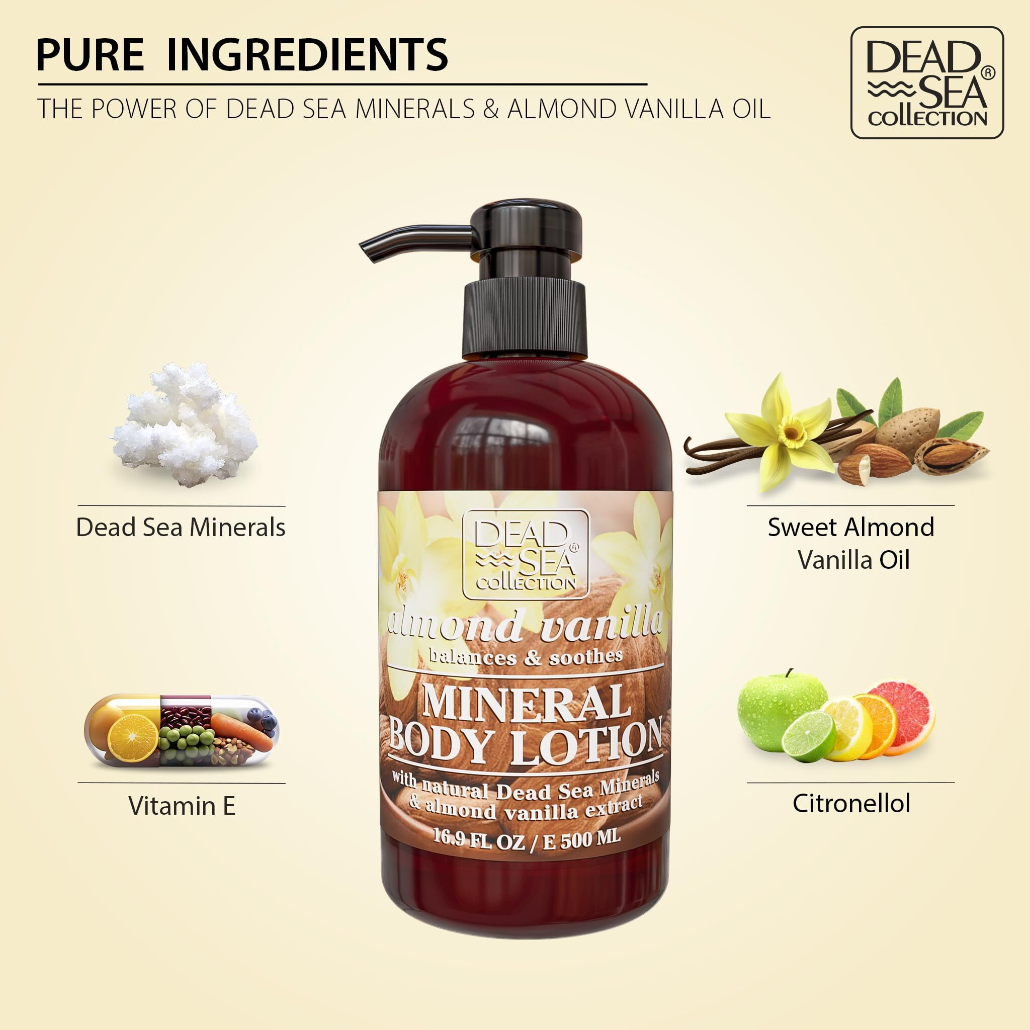 Dead Sea Collection Top 10 Men's Body Lotion - Sandalwood Oil And Dead Sea Minerals - Maximum Hydration Nourishing Moisturizing Lotion For Men - 16.9 Fl Oz Bottle