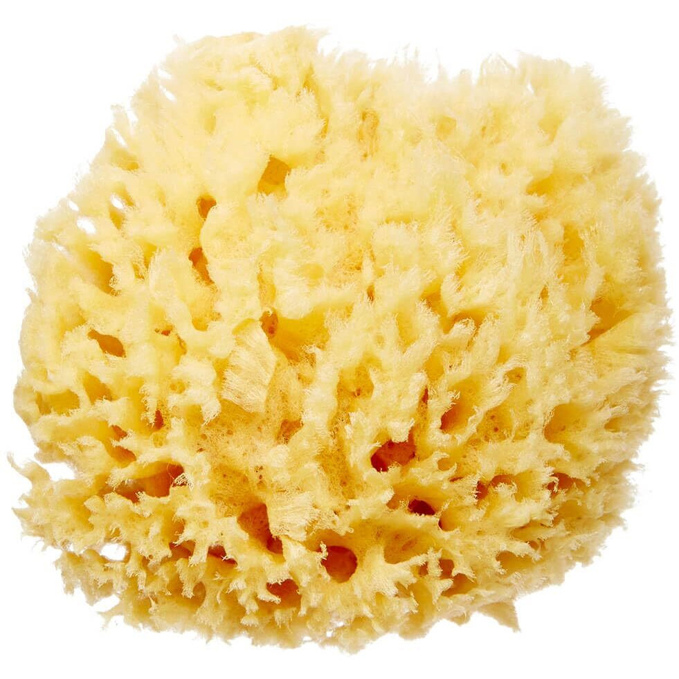 Hartfelt Delicate Skin Wool Sea Sponge 4 In | Real Natural Sponges For Body And Face Gentle Care | Luxurious Lather