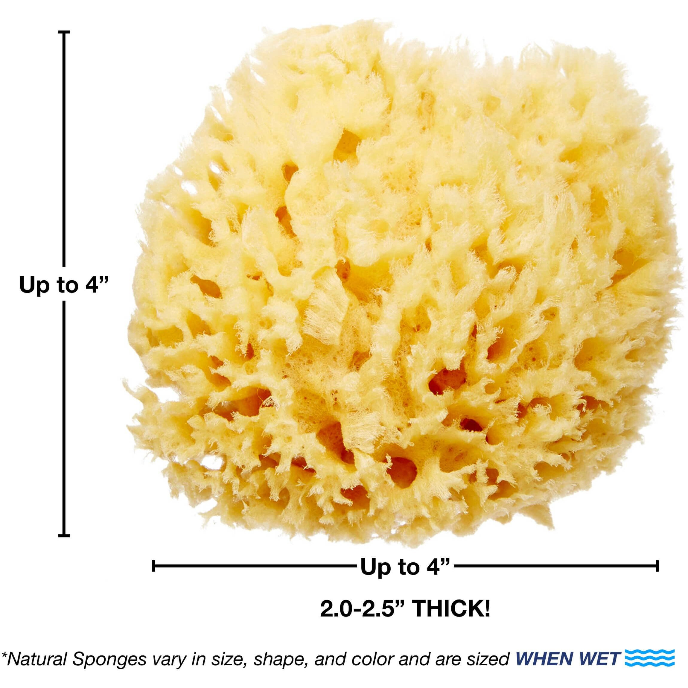 Hartfelt Delicate Skin Wool Sea Sponge 4 In | Real Natural Sponges For Body And Face Gentle Care | Luxurious Lather