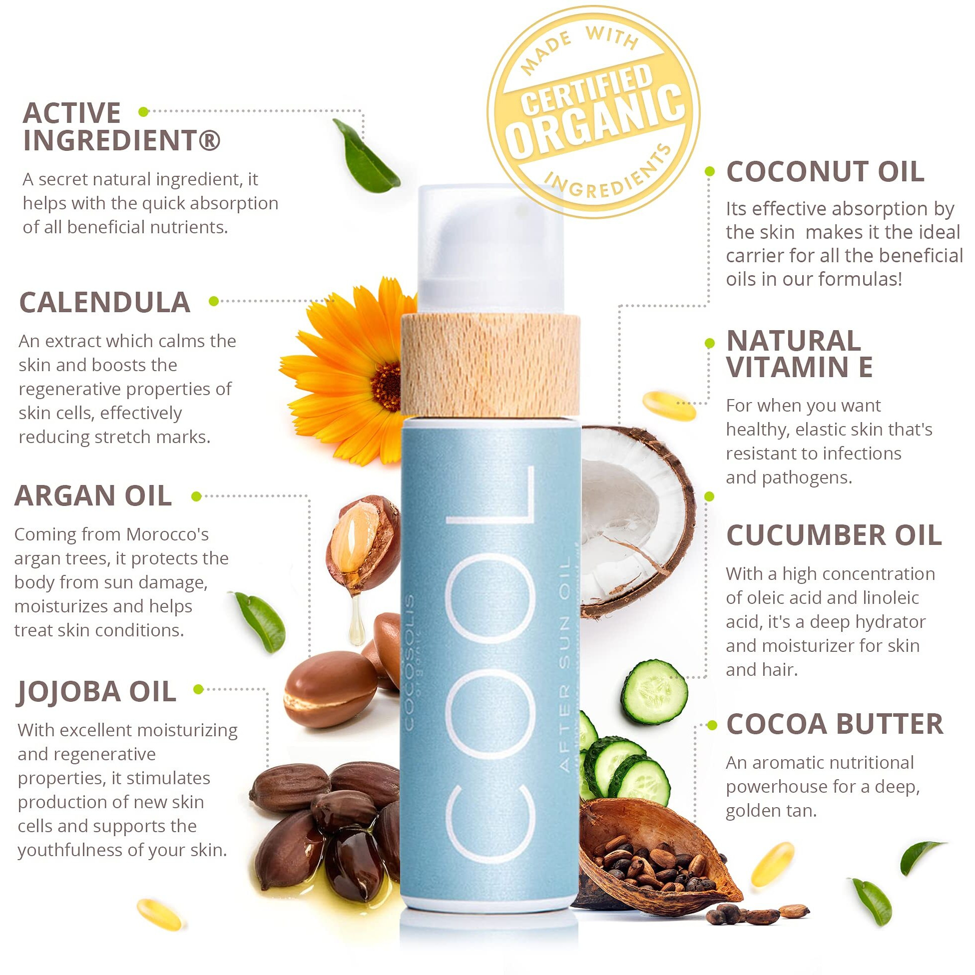 Cocosolis Cool After Sun Lotion | Organic After Sun For Tender Hydration & Recovery | Best After Sun Moisturizing Lotion With 9 Raw Organic Oils | After Sun Face & Body Skincare