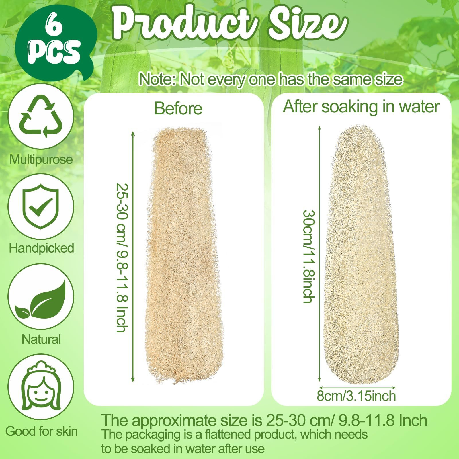 Zhouboat 11.8 Inches Natural Loofah Sponges Pack Of 6, For Kitchen Dishes Body Scrubber