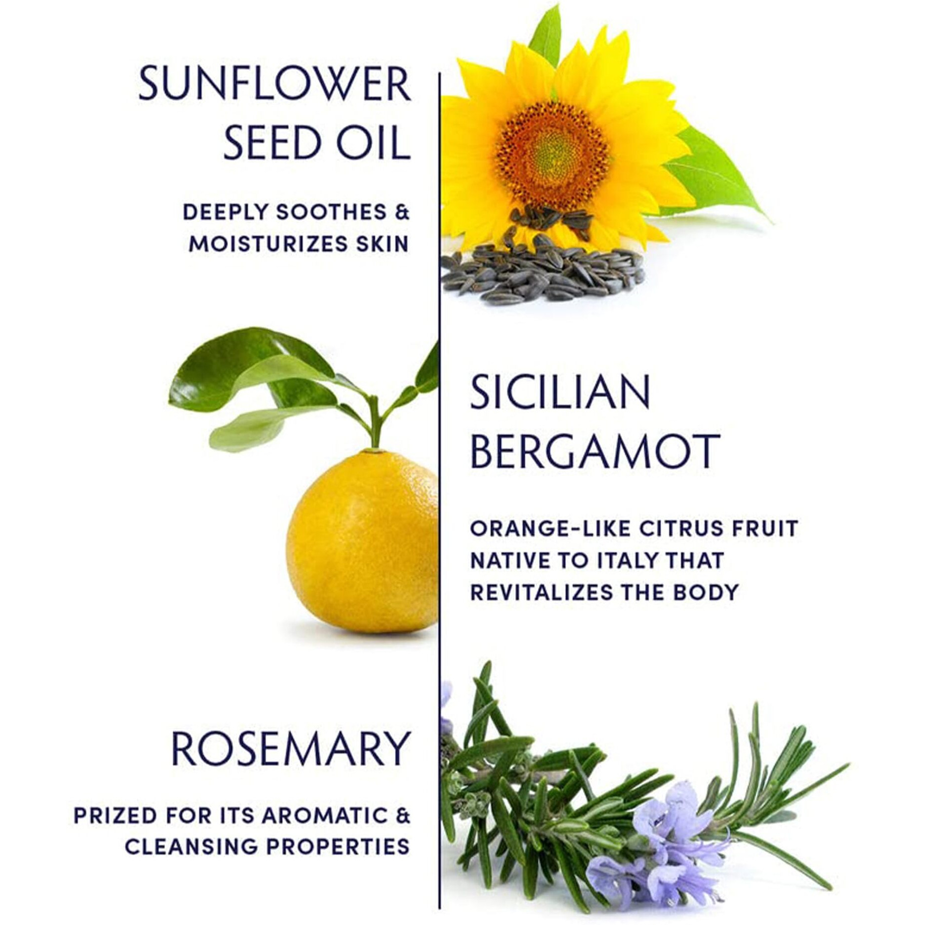 Naturopathica Sicilian Bergamot Hand & Body Lotion, Daily Body Moisturizer With Citrus And Aloe Vera, Body Lotion For Dry Skin, 8.4 Fl Oz (250 Ml)