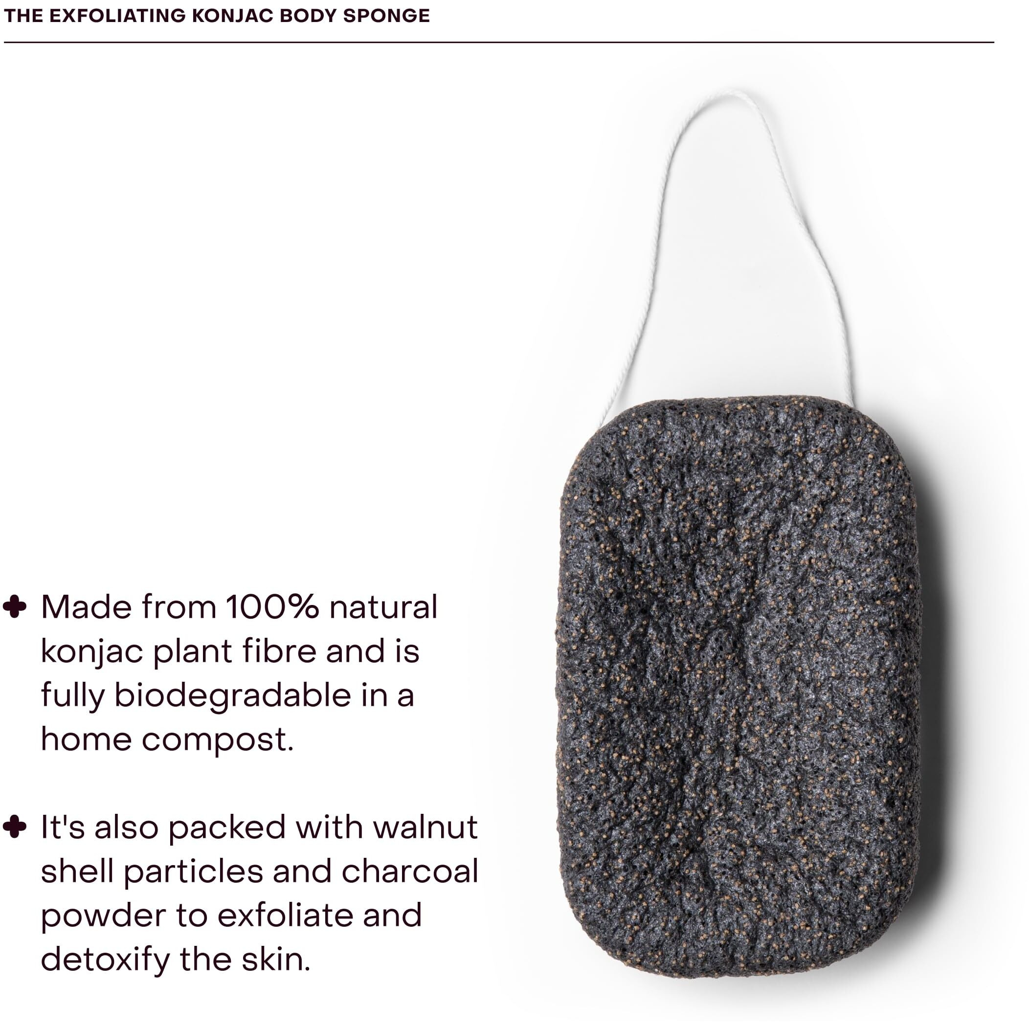 Everist The Exfoliating Konjac Body Sponge, Natural, Reusable, Compostable Bath Sponge For Sensitive Skin, Charcoal Cleansing, 60+ Uses, 1 Each
