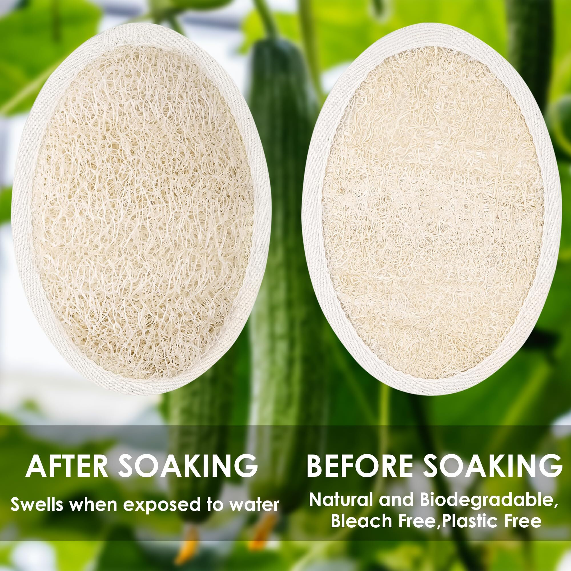 Natural Loofah Sponge Exfoliating Body Scrubber, Organic Biodegradable Eco-Friendly Bath Scrub For All Skin Types, Men Women 1 Thick + 3 Thin
