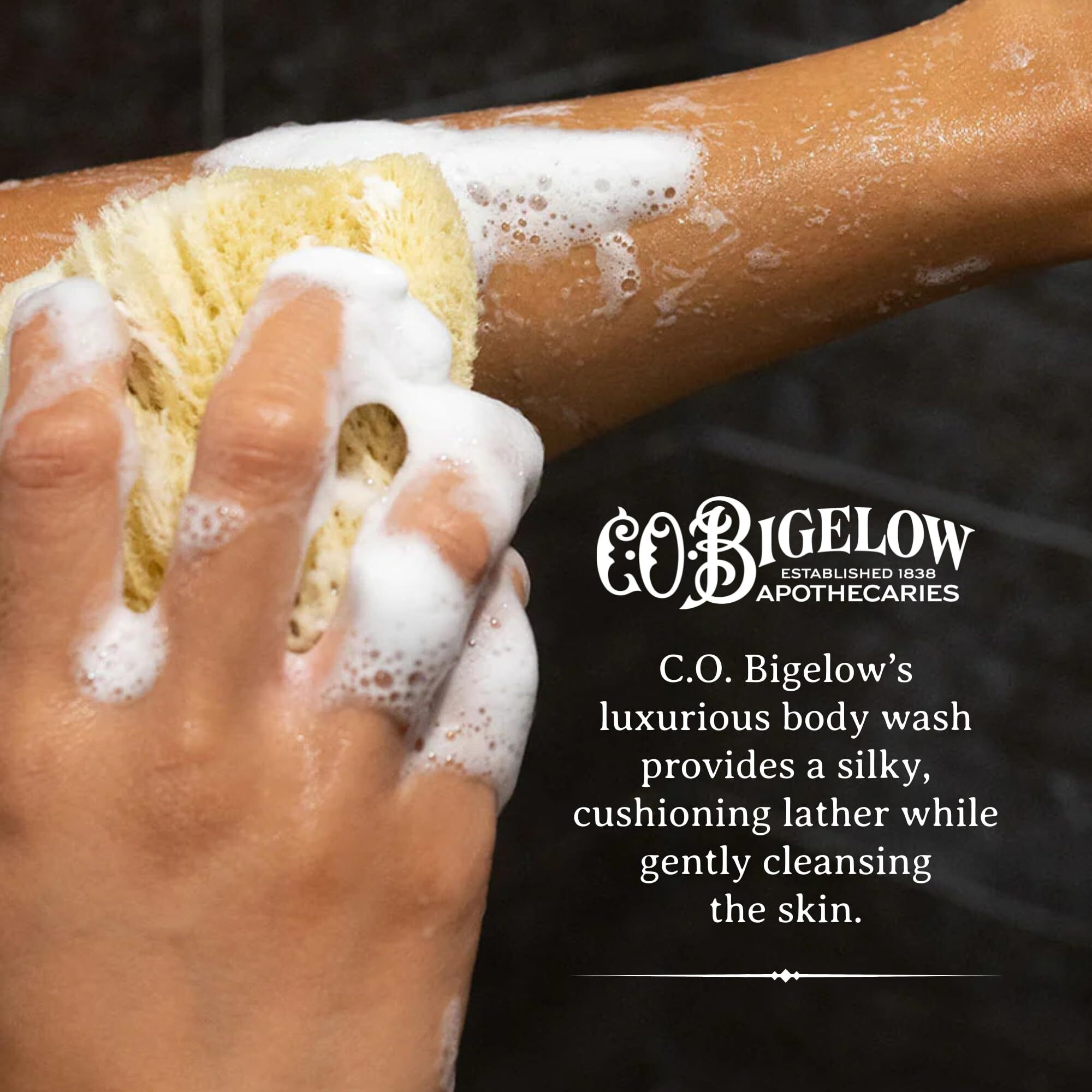 C.O. Bigelow Iconic Collection Musk Body Wash, With Sodium Pca, Coconut Oil, Aloe Vera, 10.5 Fl Oz