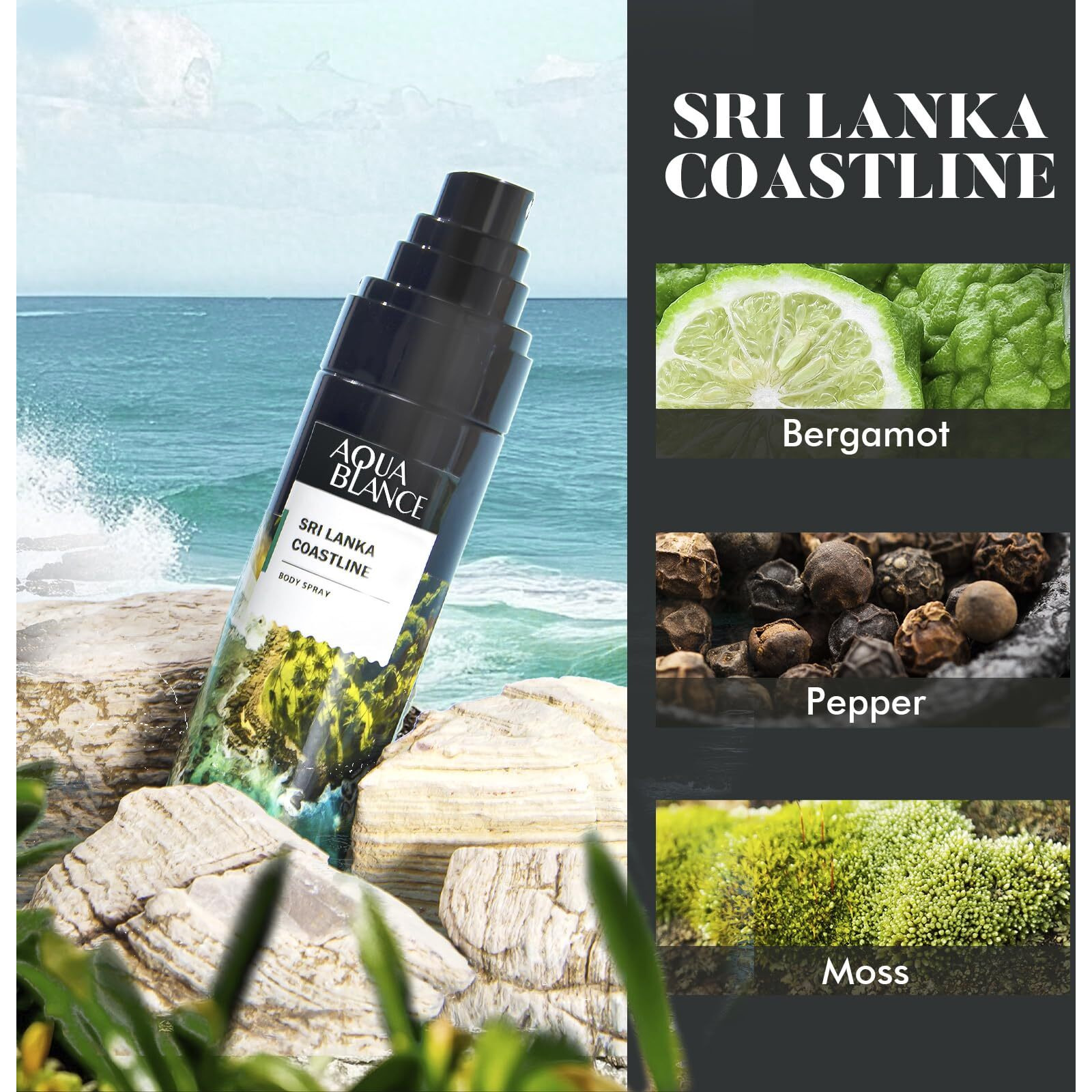 Aqua Blance Body Spray For Men, Mens Body Refreshing Spray, Long Lasting, Pack Of 3, Each 3.4 Fl Oz, Total 10.2 Fl Oz, Notes Of Bergamot, Patchouli, Cedar, Leather