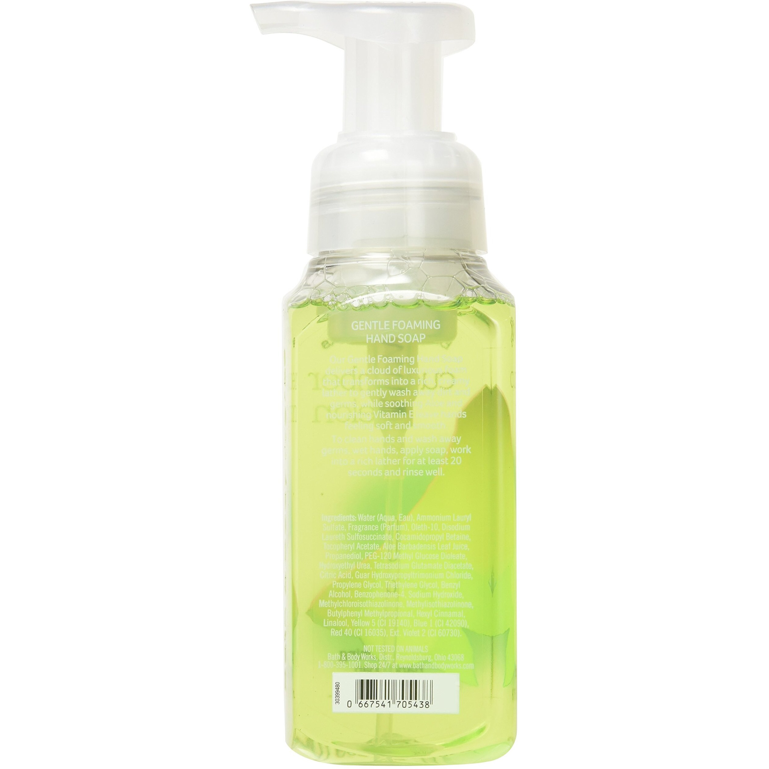 Bath & Body Works, Gentle Foaming Hand Soap, Cucumber Melon (2-Pack)