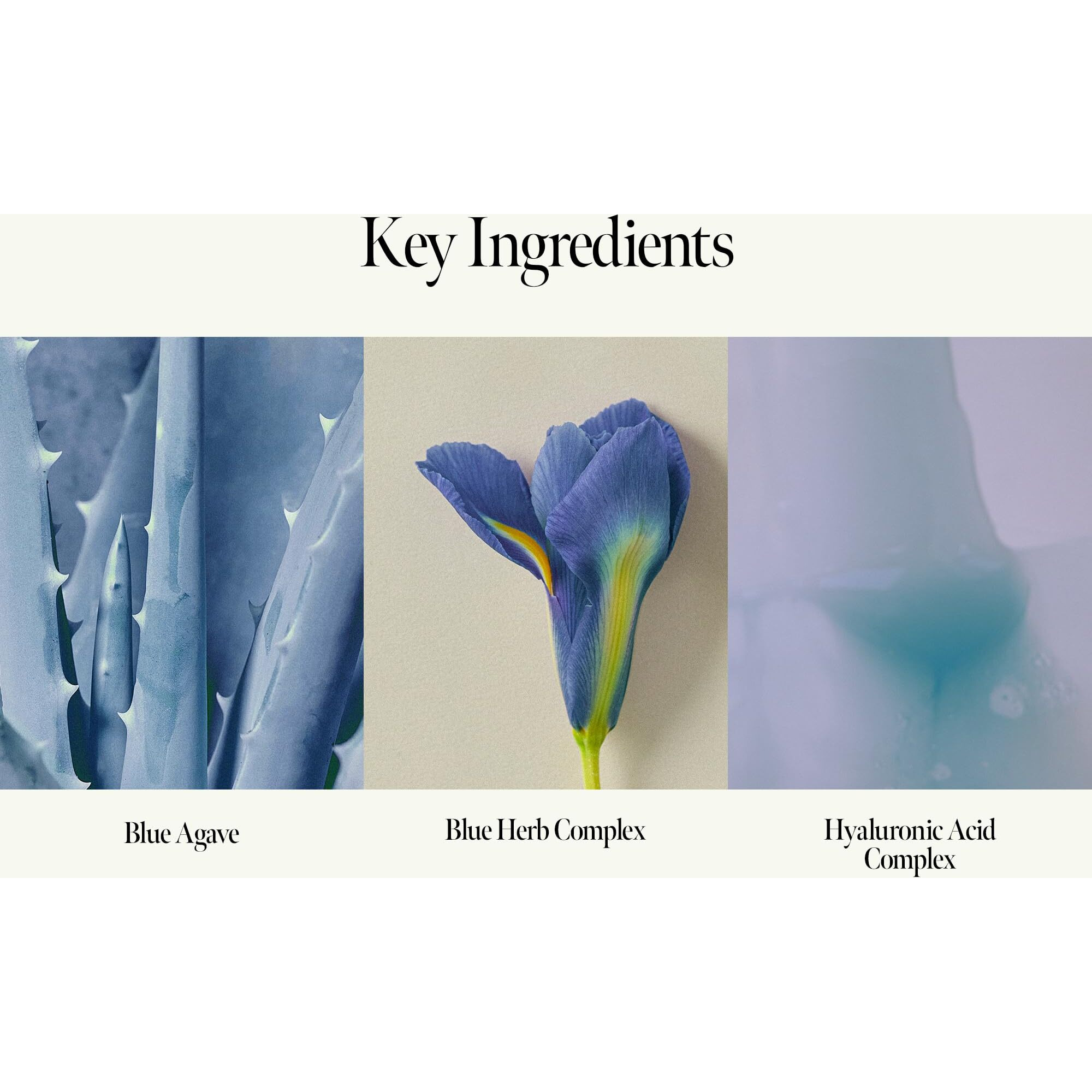 Shower Time Scented Body Wash - Vegan Hand & Body Cleanser With Ceramide & Botanical Oils, Blue Agave Scent, Free From Paraben, Sulfate, Silicone, 15.22 Fl.Oz