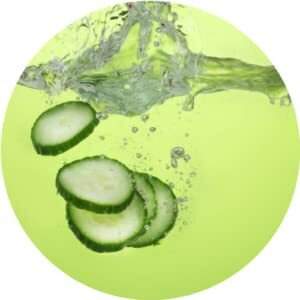 Body Boost Cooling Lotion- Soothe And Reduce Aches And Swelling- Pregnancy Safe Muscle Rub For Feet & Legs- Cucumber Mint 6 Oz- Hypoallergenic- Vegan