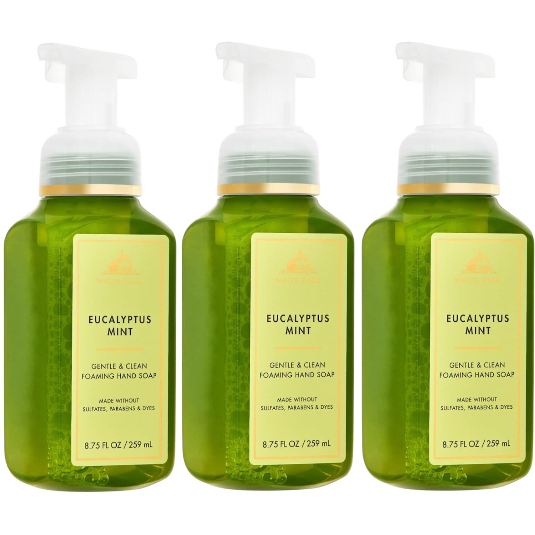 Bath And Body Fresh And Bright Hand Soaps - Set Of 3 Gentle Foaming/Gel Soaps (Eucalyptus Mint)