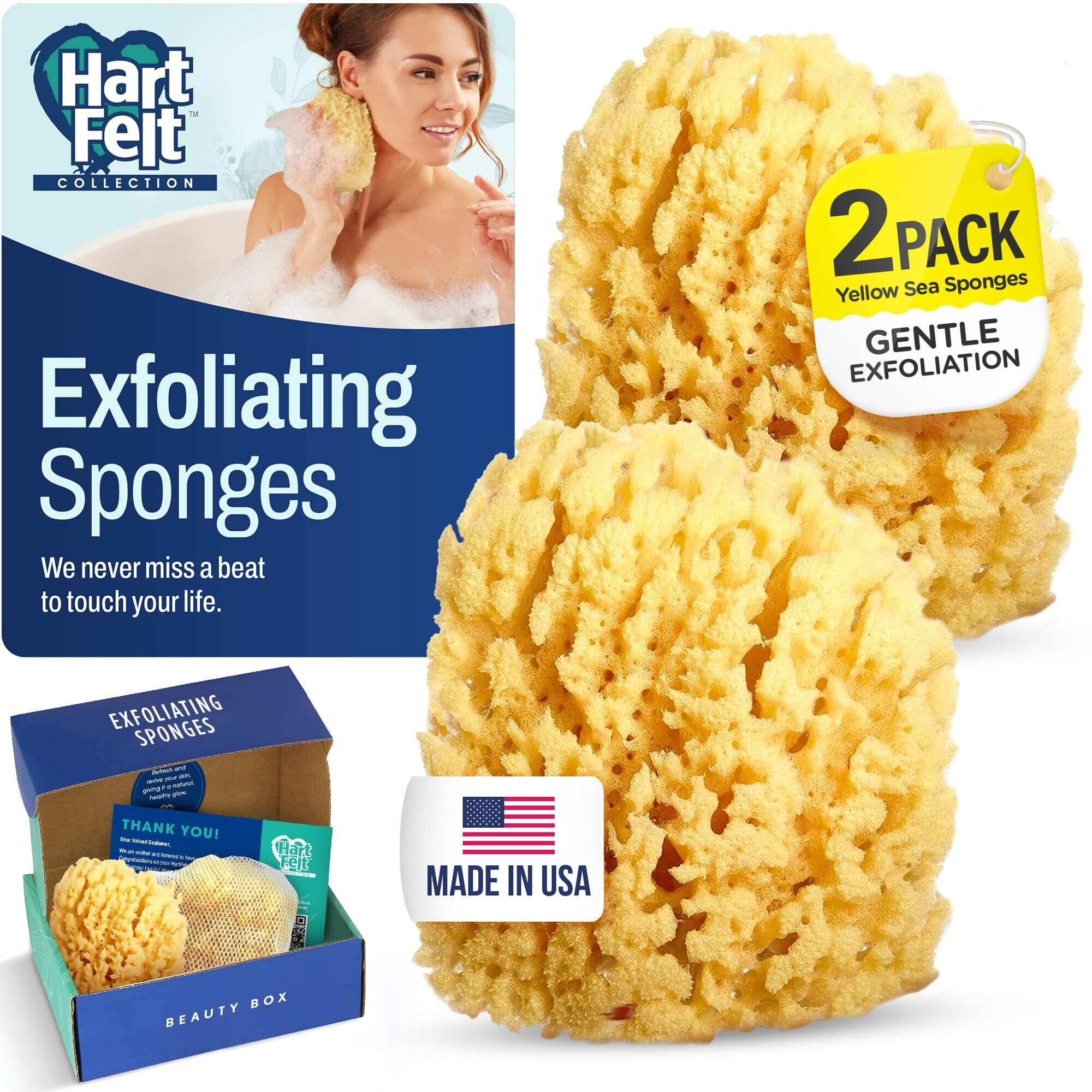 Hartfelt Yellow Sea Sponge Beauty Box For Gentle Exfoliation | 2 Bath Sponges For Shower Women & Men 4 In | Body Sponge With Mesh Bag For Cleaning & Drying | Reusable Natural Sponge - Gift Box