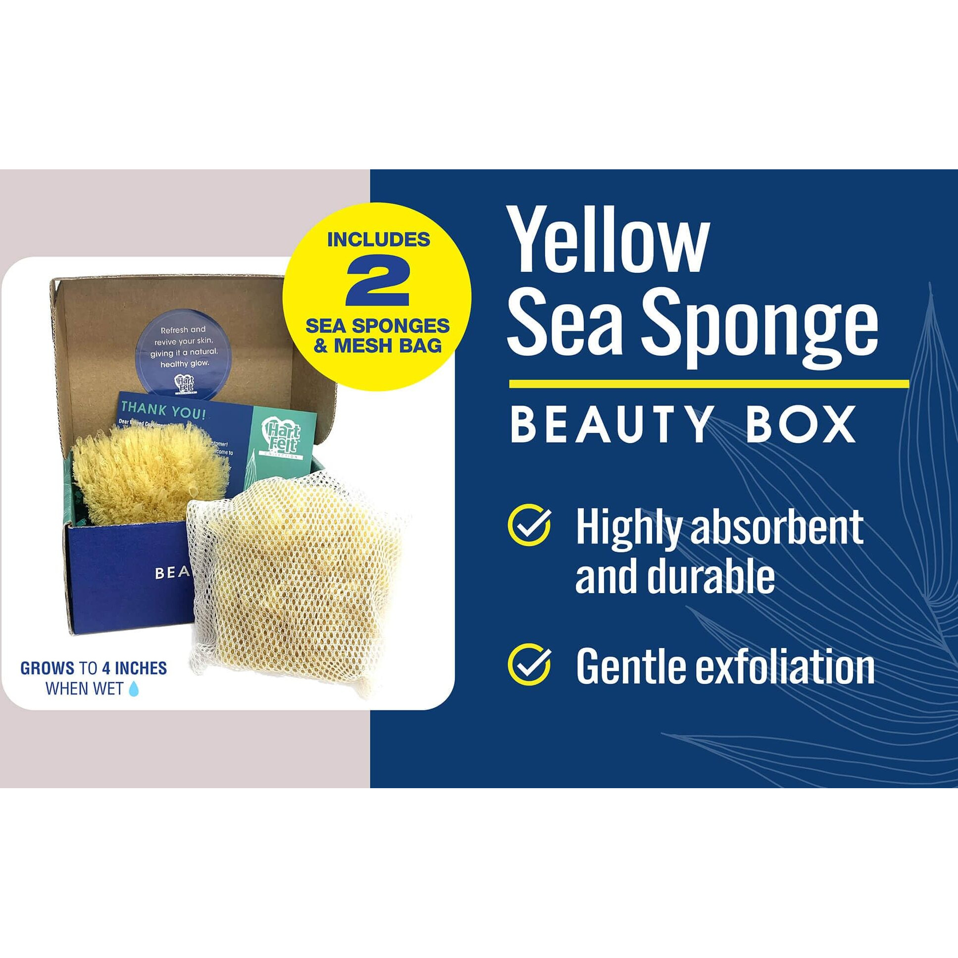 Hartfelt Yellow Sea Sponge Beauty Box For Gentle Exfoliation | 2 Bath Sponges For Shower Women & Men 4 In | Body Sponge With Mesh Bag For Cleaning & Drying | Reusable Natural Sponge - Gift Box