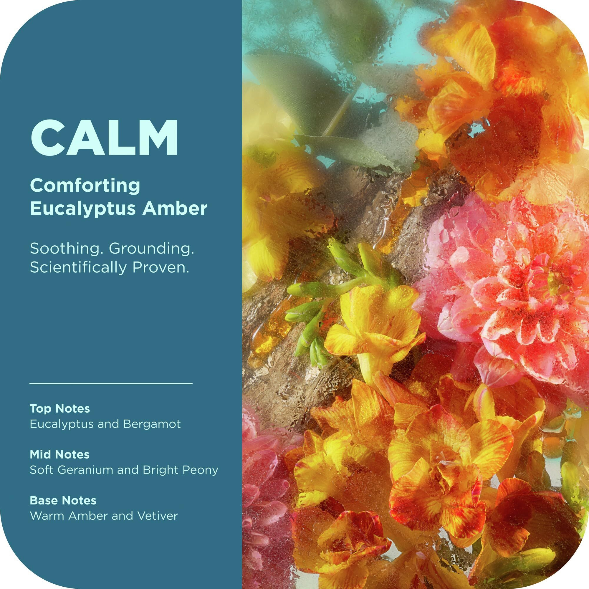 Olly Calm Body Lotion-Serum With Hyaluronic Acid, Adaptogens & Vitamin B3- Nourishing Cleanser For Skin Barrier Repair, Deep Hydration, Eucalyptus Amber Scent, 8Oz