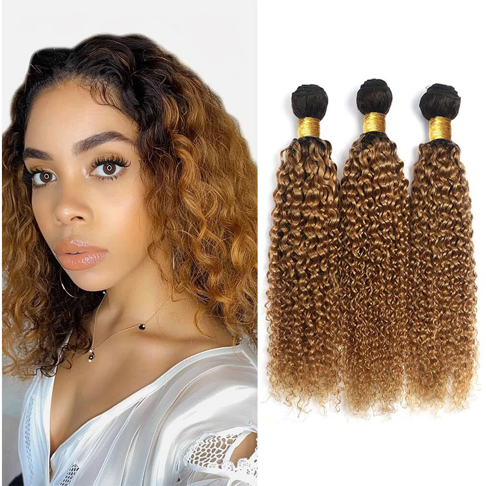Honey Blonde Bundles Human Hair 1B27 Ombre Body Wave Human Hair Bundles 20 20 20 Inch Unprocessed Brazilian Virgin Human Hair Bundles Honey Blonde Bundles Human Hair