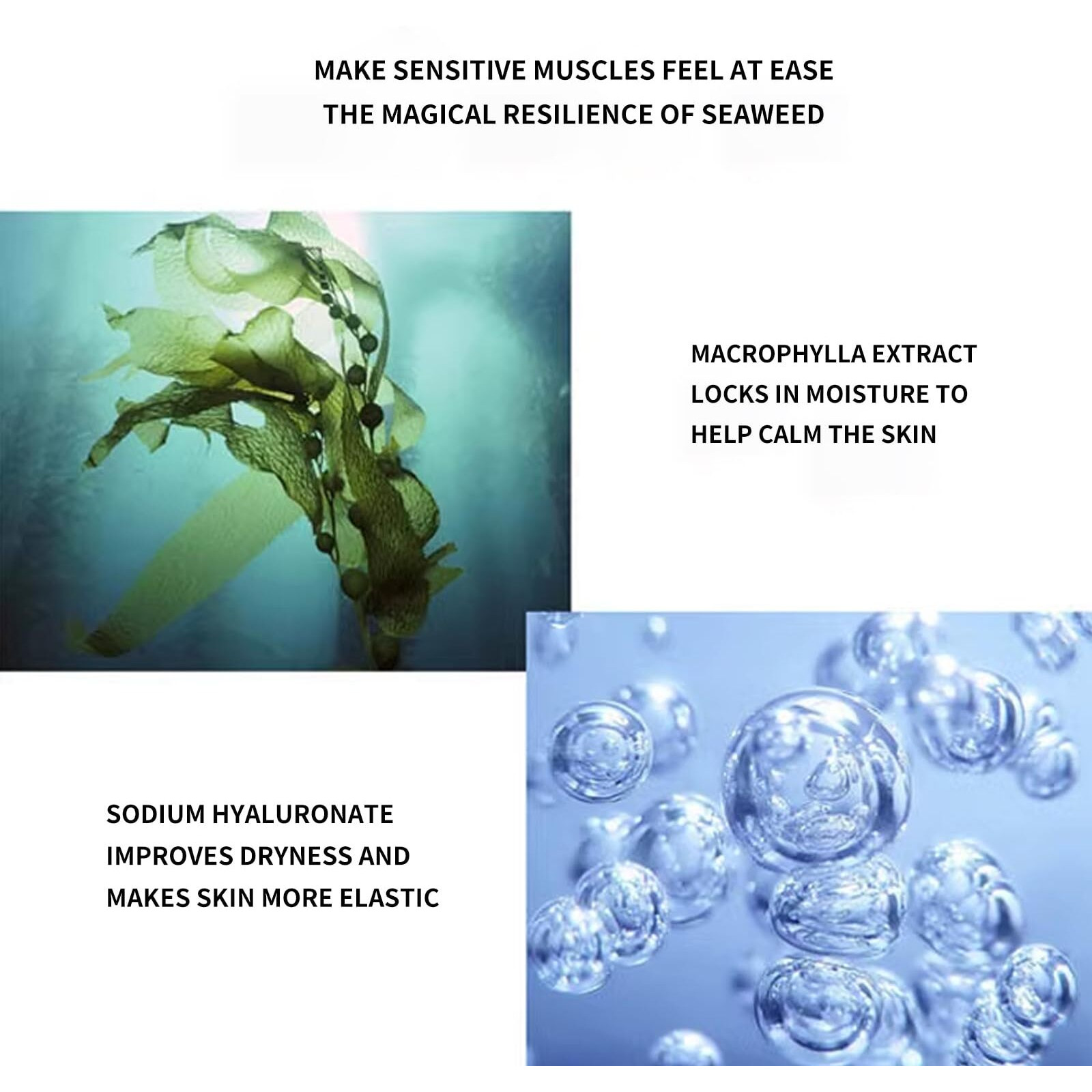 Blue Love 2Pcs Astaxanthin Seaweed Face Cream For Men & Woman, Anti-Aging Hydration Facial Moisturizer Skincare For All Skin Types