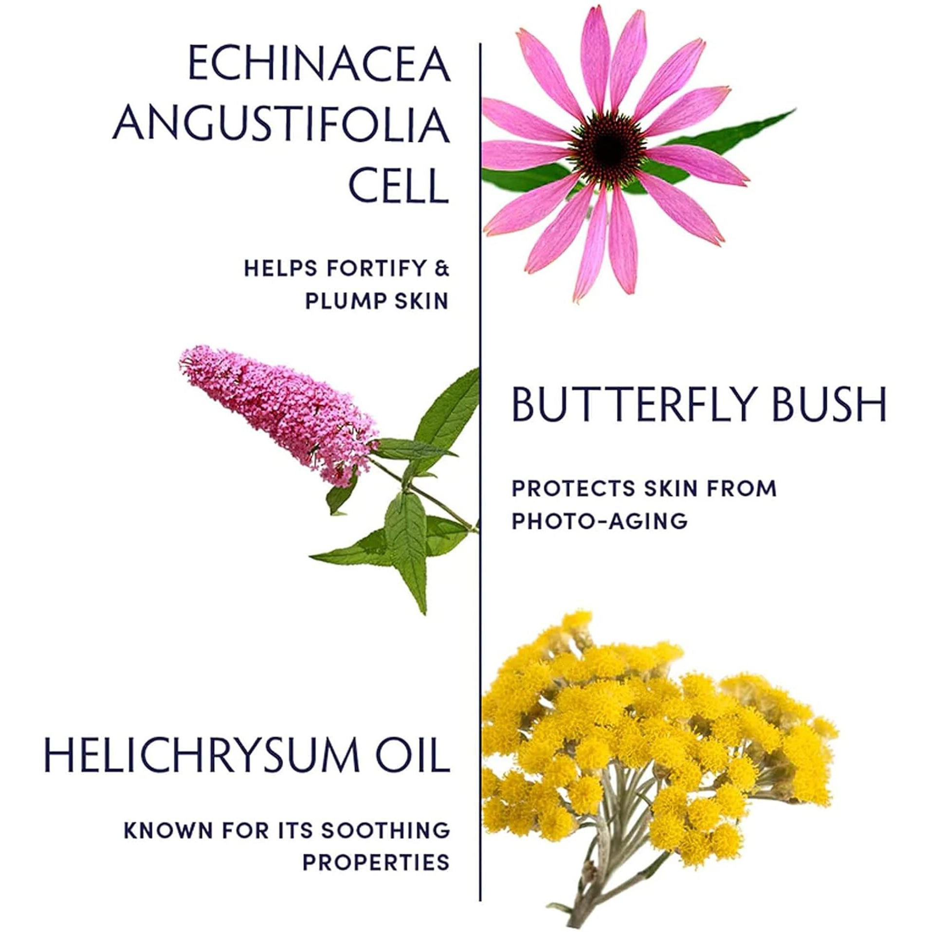 Naturopathica Plant Stem Cell Booster Serum, Daily Anti-Aging Face Serum To Smooth Fine Lines, Firming Facial Serum Helps Plump & Protect Skin, 1.18 Fl Oz