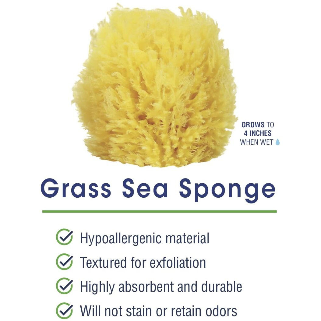 Hartfelt Exfoliating Grass Sea Sponge 4In | Natural Exfoliating Body Scrubber Sponge For Shower For Women And Men