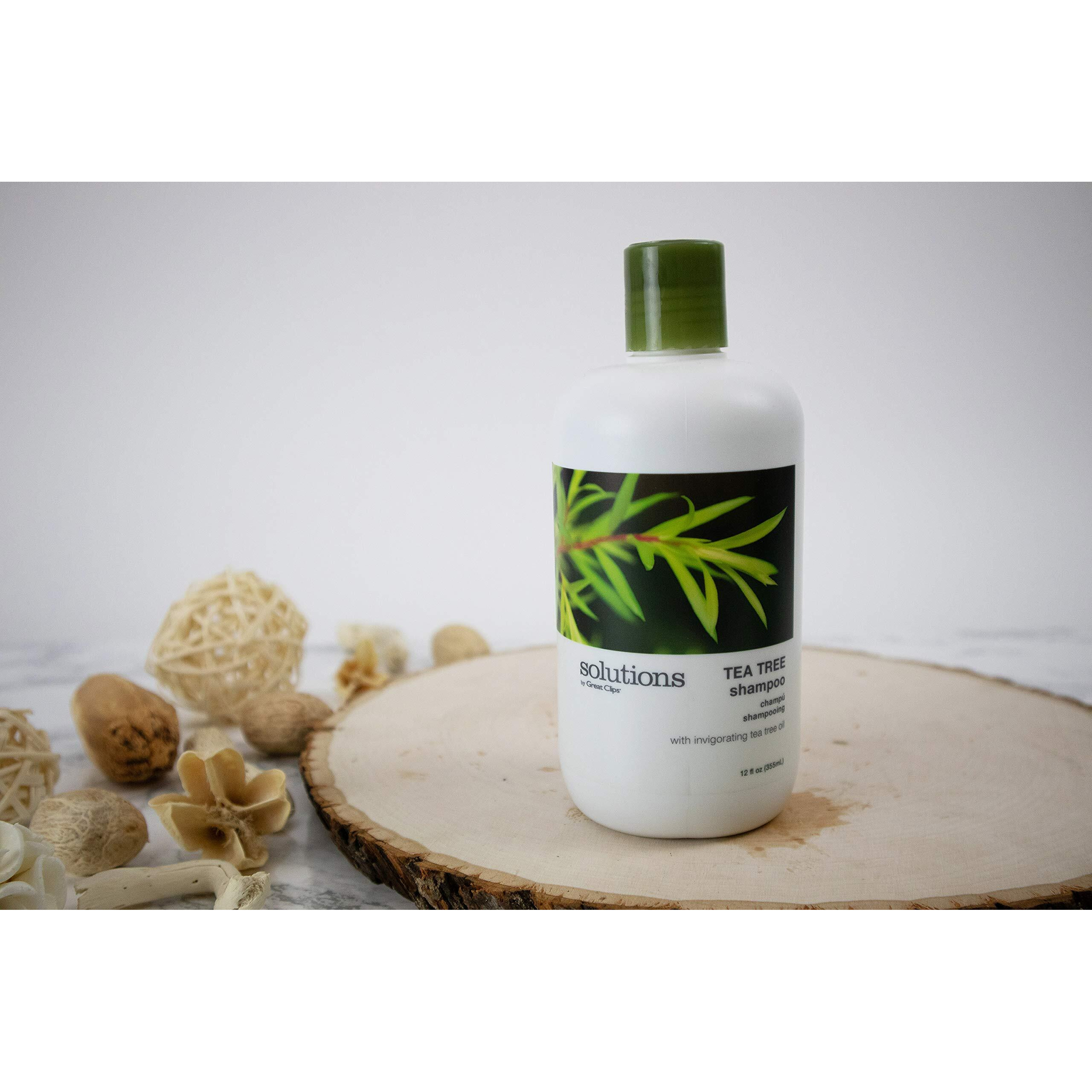 Great Clips Solutions Tea Tree Shampoo 12 Fl Oz | Natural Dry Scalp & Dandruff Treatment With Invigorating Essential Oils | Nourish And Stimulate Scalp | For All Hair Types