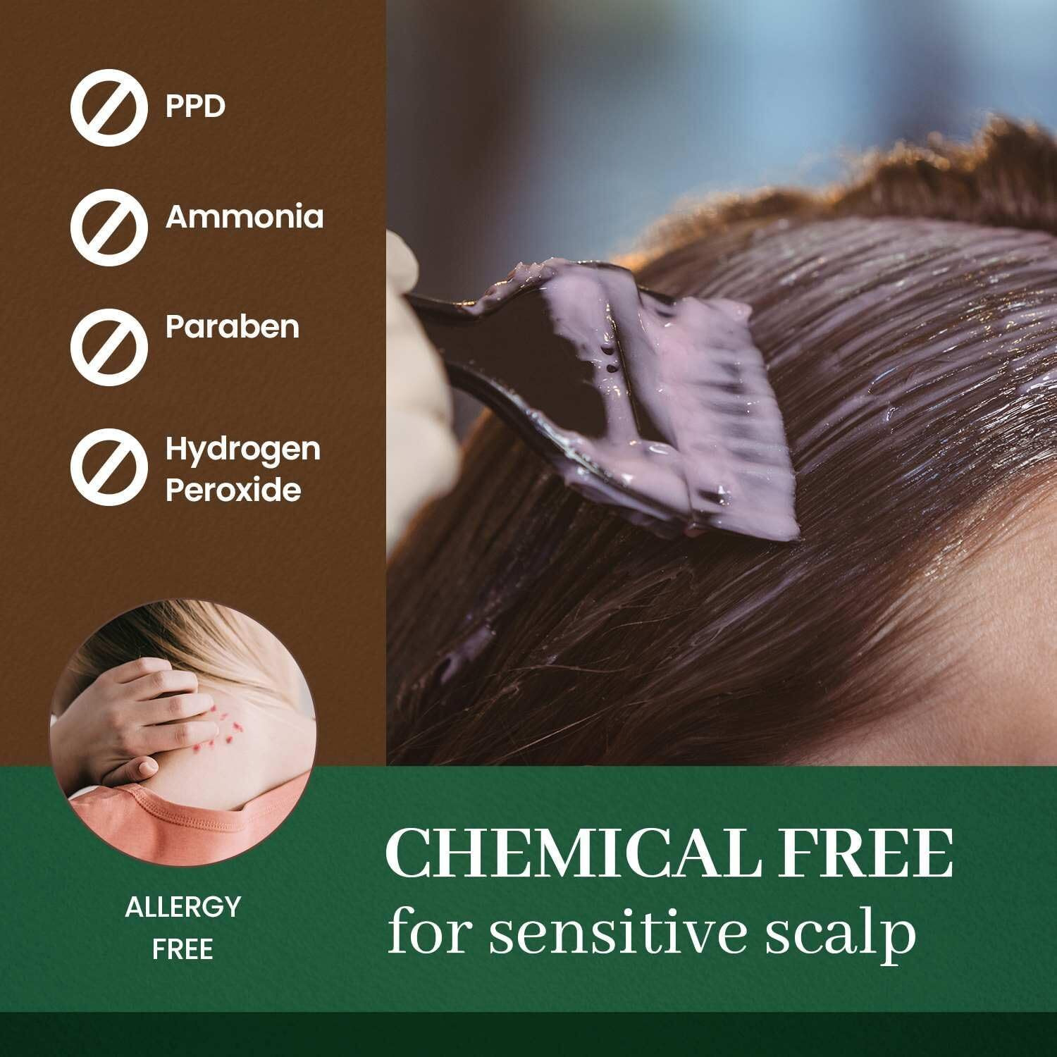 Dongsung Herb Speedy Color Cream(Soft Black, 1 Pack), Ppd-Free Ammonia-Free Vegan Gray Coverage Hair Dye With Sun Protection, Odorless, Gentle For Sensitive Scalp, No Eye Or Scalp Irritation