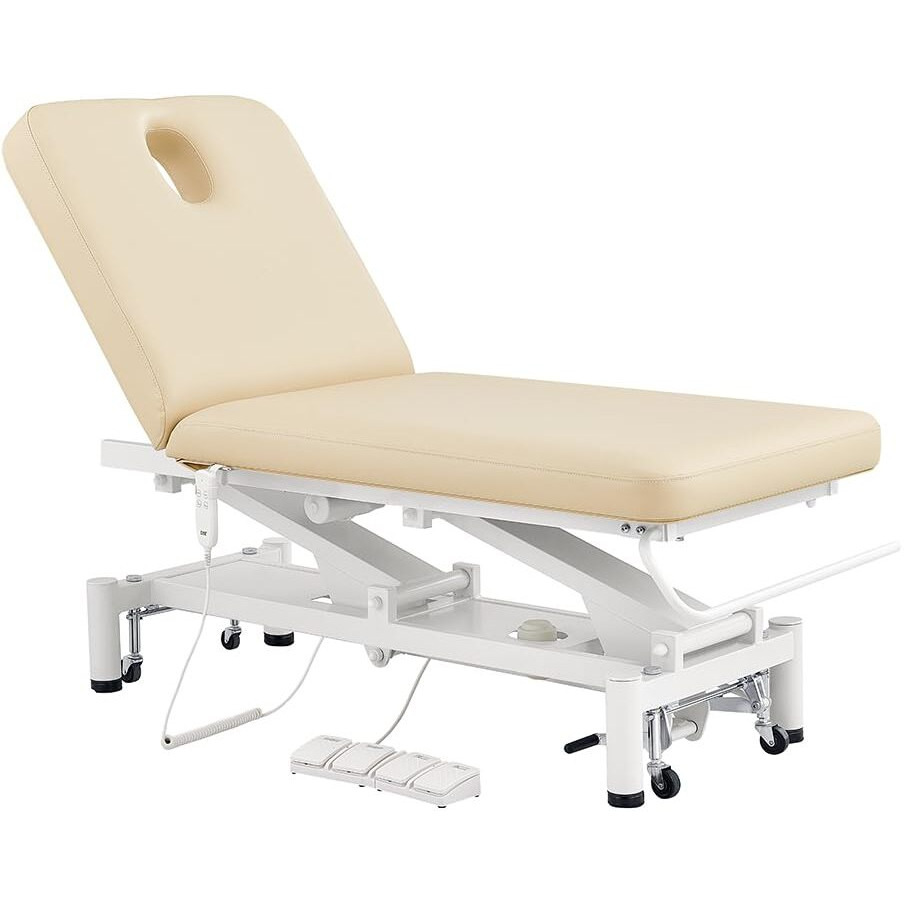 Dir Spa Full Electrical Facial Beauty Bed Spa Massage Table All Purpose Doctor's Office Bed With 2 Motors Mar Egeo